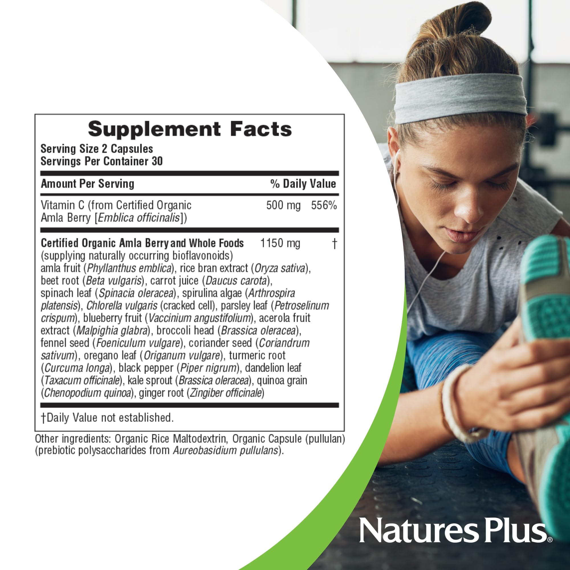 NaturesPlus Source of Life Garden Organic Vitamin C 500 mg - 60 Vegan Capsules