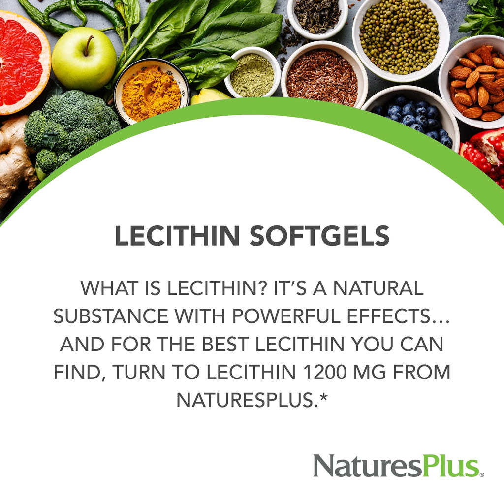 NaturesPlus Lecithin 1200 mg | 90 Softgels | Gluten Free | 90 Servings