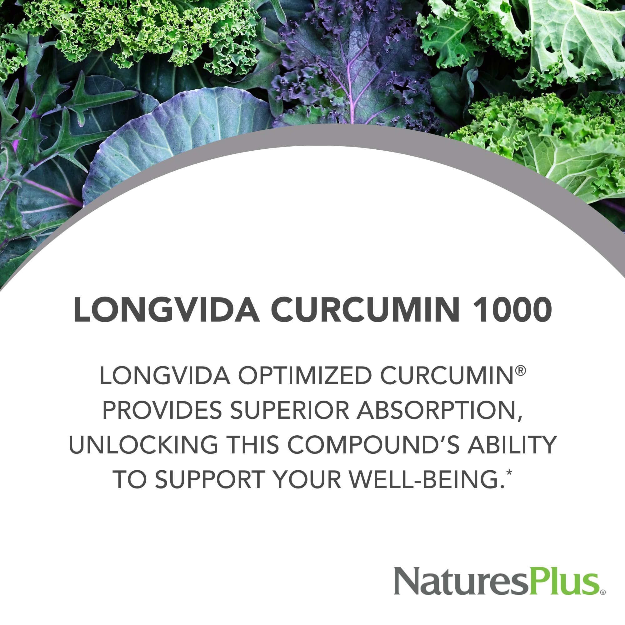 NaturesPlus PRO Longvida Curcumin 1000 mg – 30 Tablets | Antioxidant Support