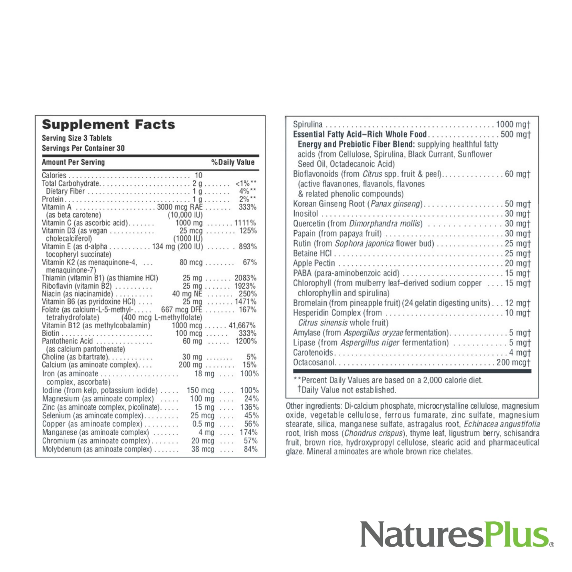 NaturesPlus Source of Life - 2 x 90 Tablets Multivitamin | Gluten Free & Vegetarian | 60 Servings