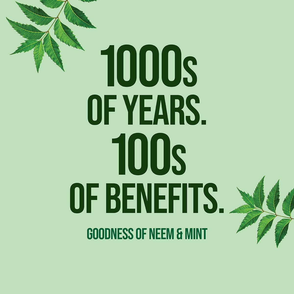 Neem Active Toothpaste 200g Pack | 98% Natural, Pure Vegetarian