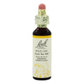 Nelson Bach Flower Wild Oat, 0.04 lb – Homeopathic Remedy