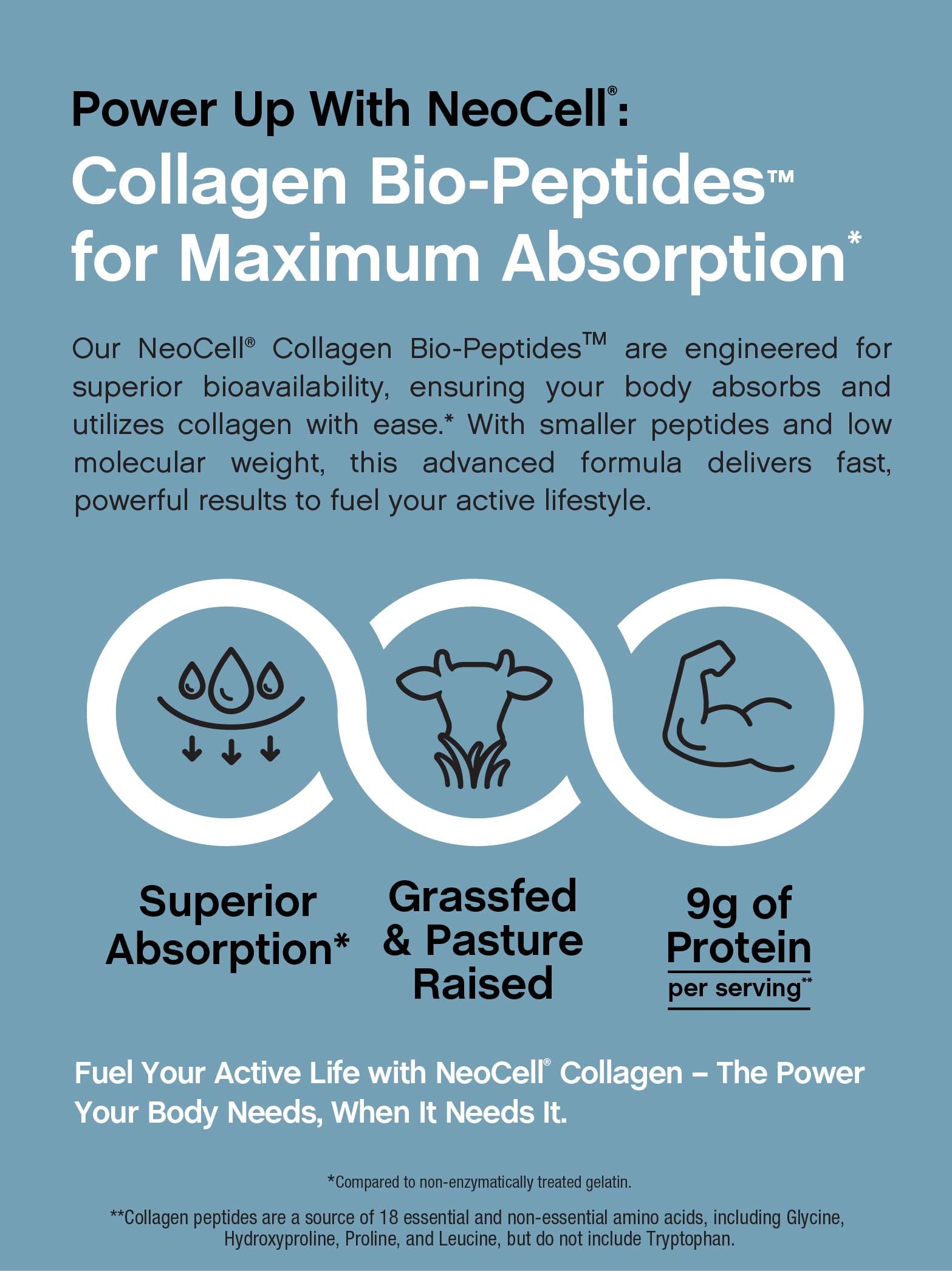 NeoCell Collagen Bio-Peptides Powder 22oz – Grass-Fed, Superior Absorption