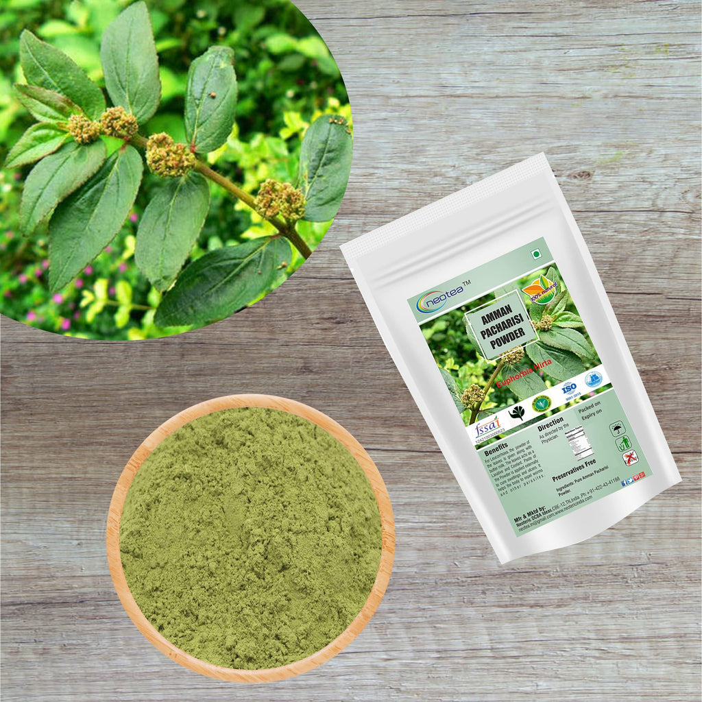 neotea Organic Euphorbia Hirta Powder | Amman Pacharisi | 300 GM (10.58 OZ) Pack of 1 | Premium Quality Herbal Supplement | 100% Pure and Natural | Boosts Immunity
