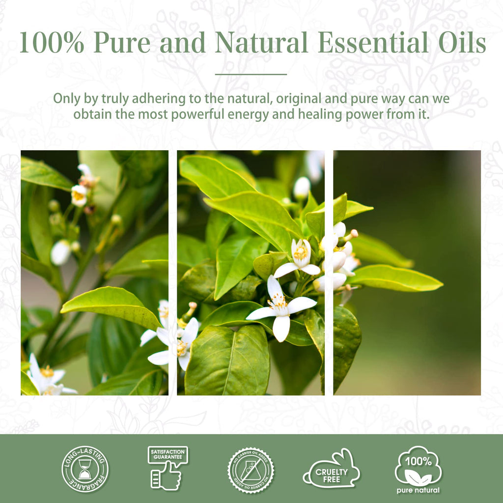 Neroli Essential Oil 30ml | PHATOIL Pure Aromatherapy for Diffusers, DIY Candles & Soaps