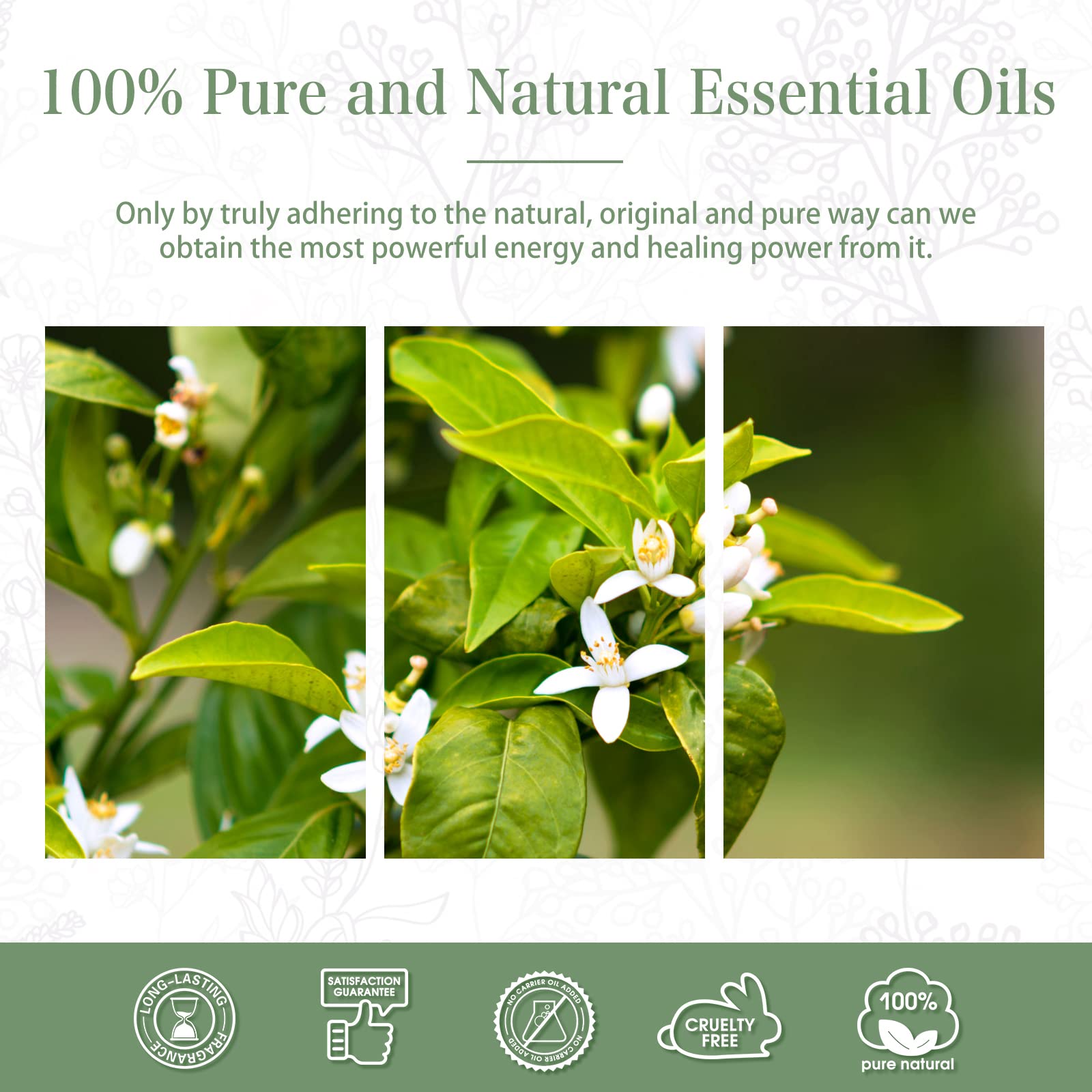 Neroli Essential Oil 30ml | PHATOIL Pure Aromatherapy for Diffusers, DIY Candles & Soaps