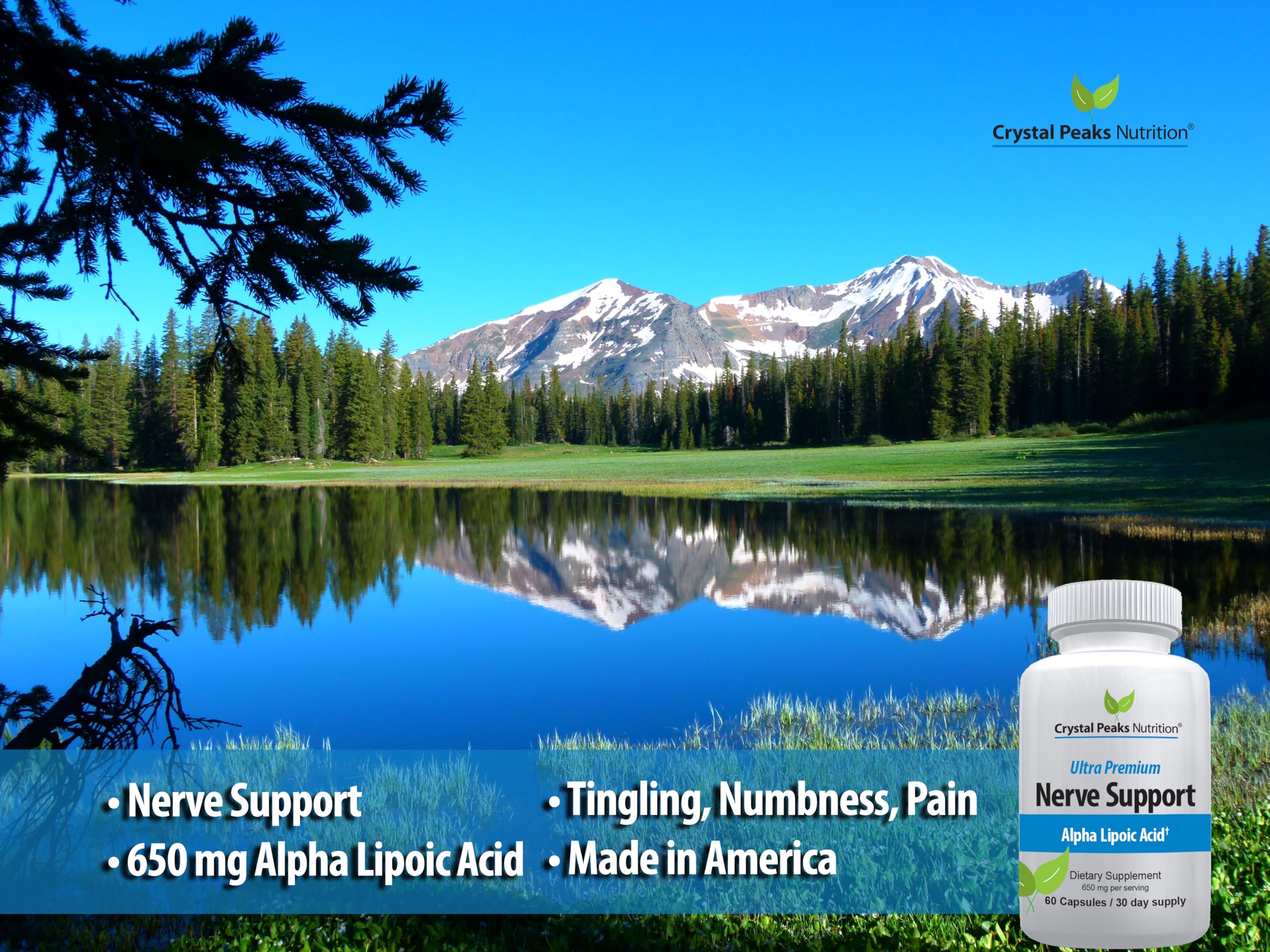 Nerve Support Supplement - 650mg ALA Alpha Lipoic Acid | Non-GMO Veggie Capsules