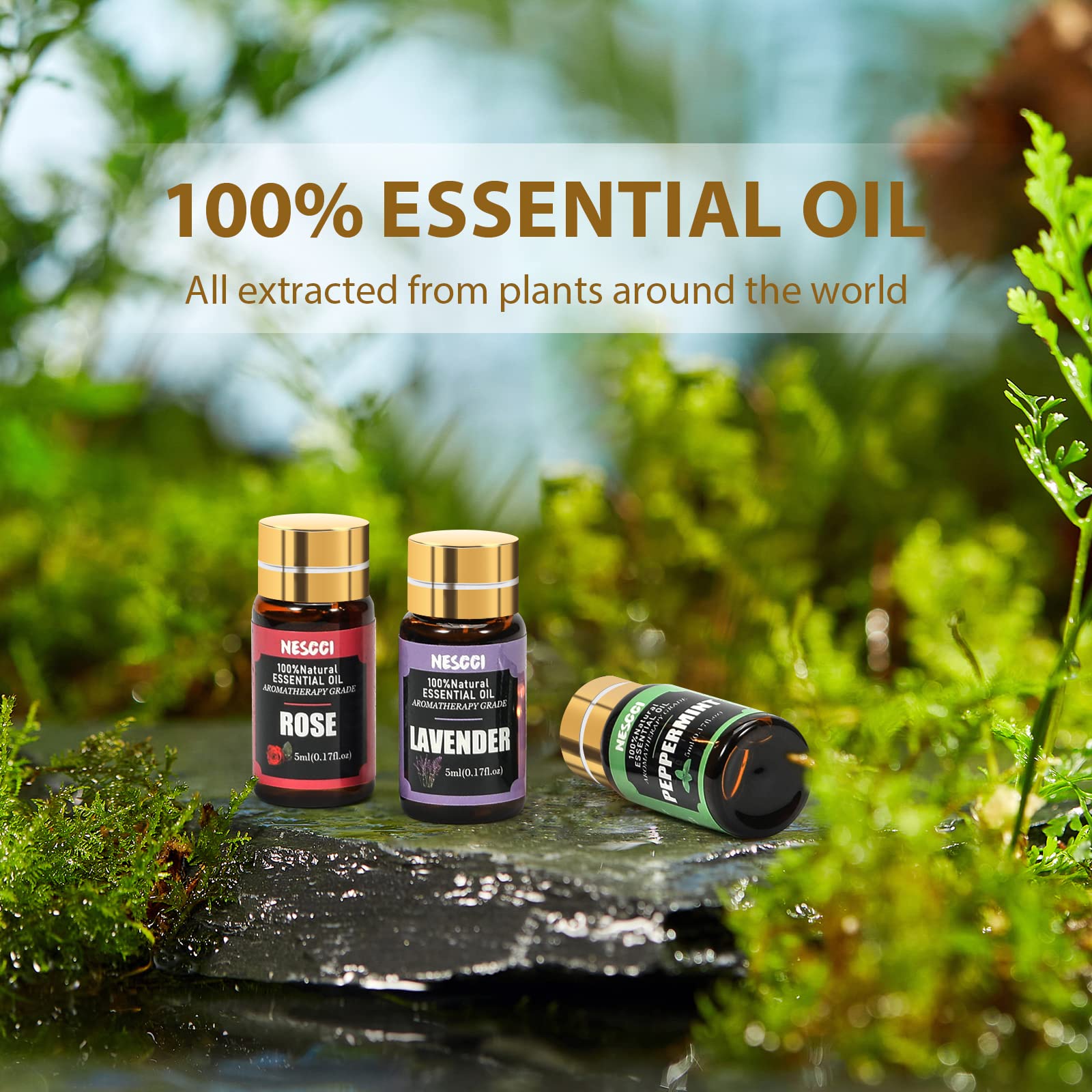 NESCCI 70 Essential Oils Gift Set for Diffusers, Candles & DIY Soaps – Halloween & Christmas