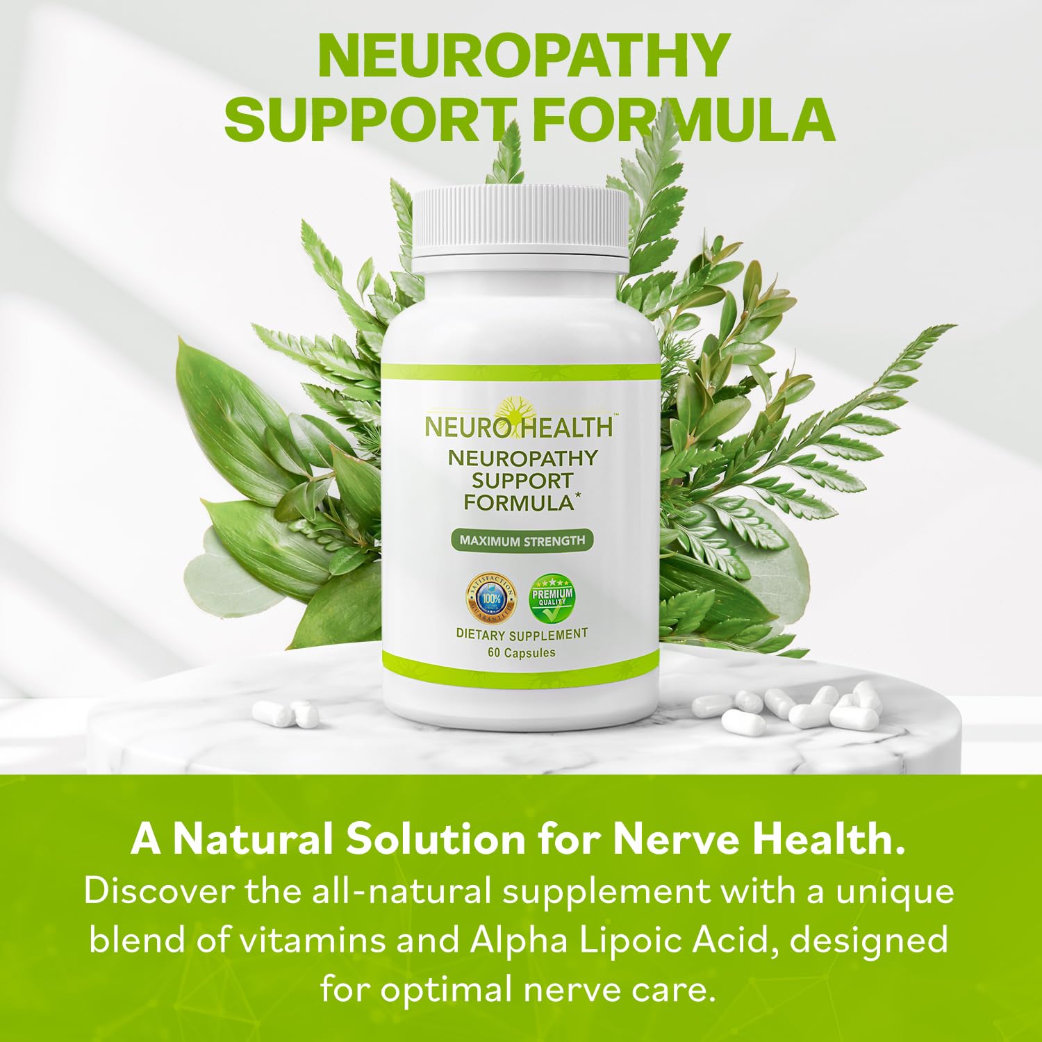 Neuro Health Nerve Support Formula for Neuropathy | B Vitamins & Alpha Lipoic Acid | 180 Capsules