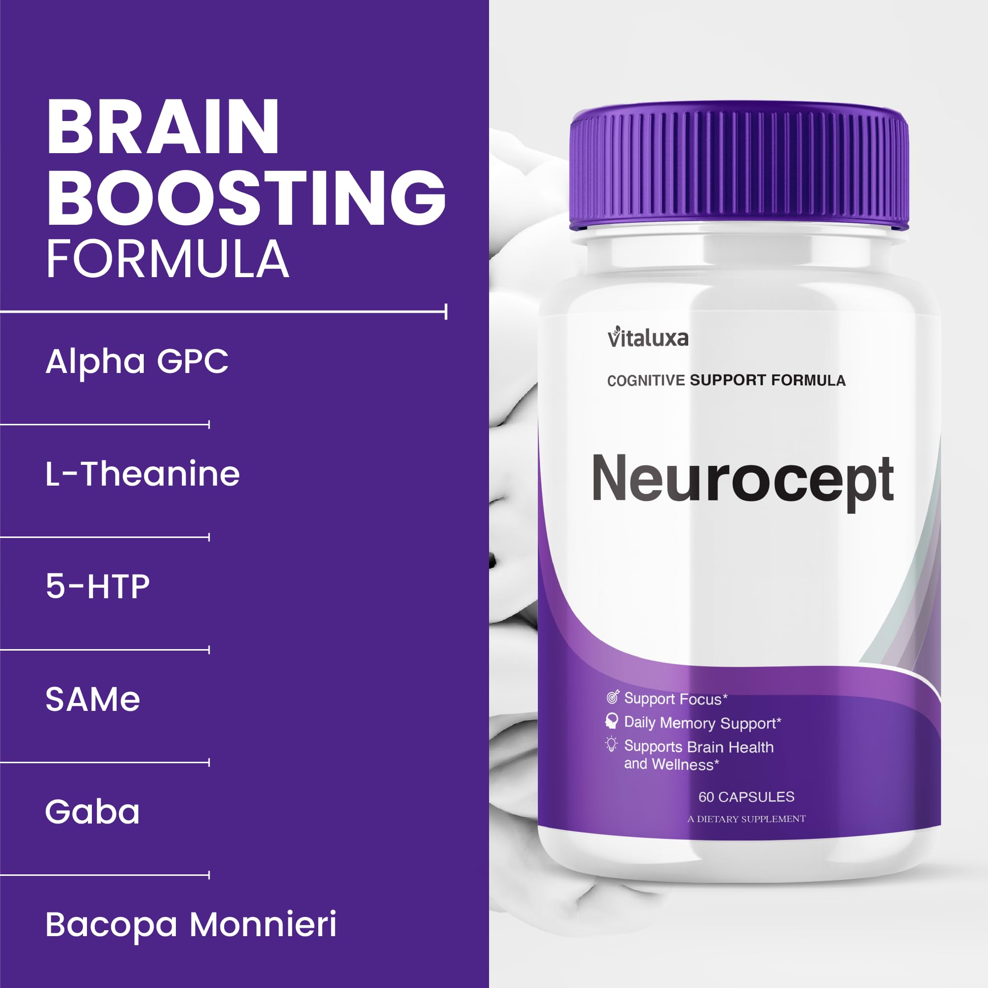 Neurocept Supplement 3-Pack – Memory & Brain Health Capsules (180 Count)