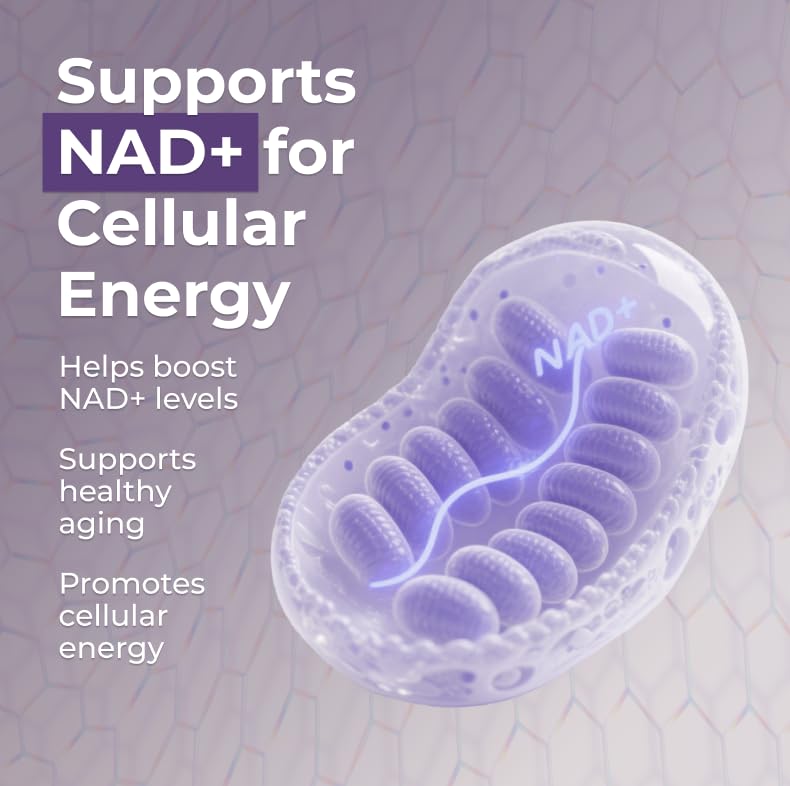 Neurogan NMN Supplement Capsules – 500 mg NMN, 120 Ct | Brain Focus & Cellular Energy