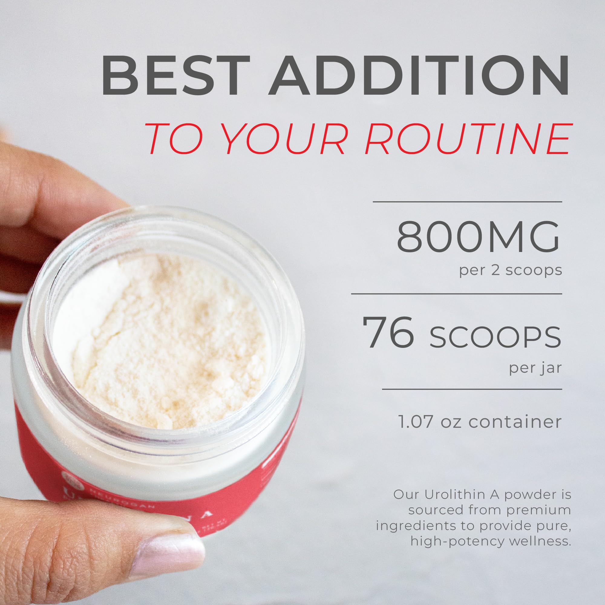 Neurogan Urolithin A Powder 800mg – Daily Wellness, Vegan & Gluten-Free | 30.4g