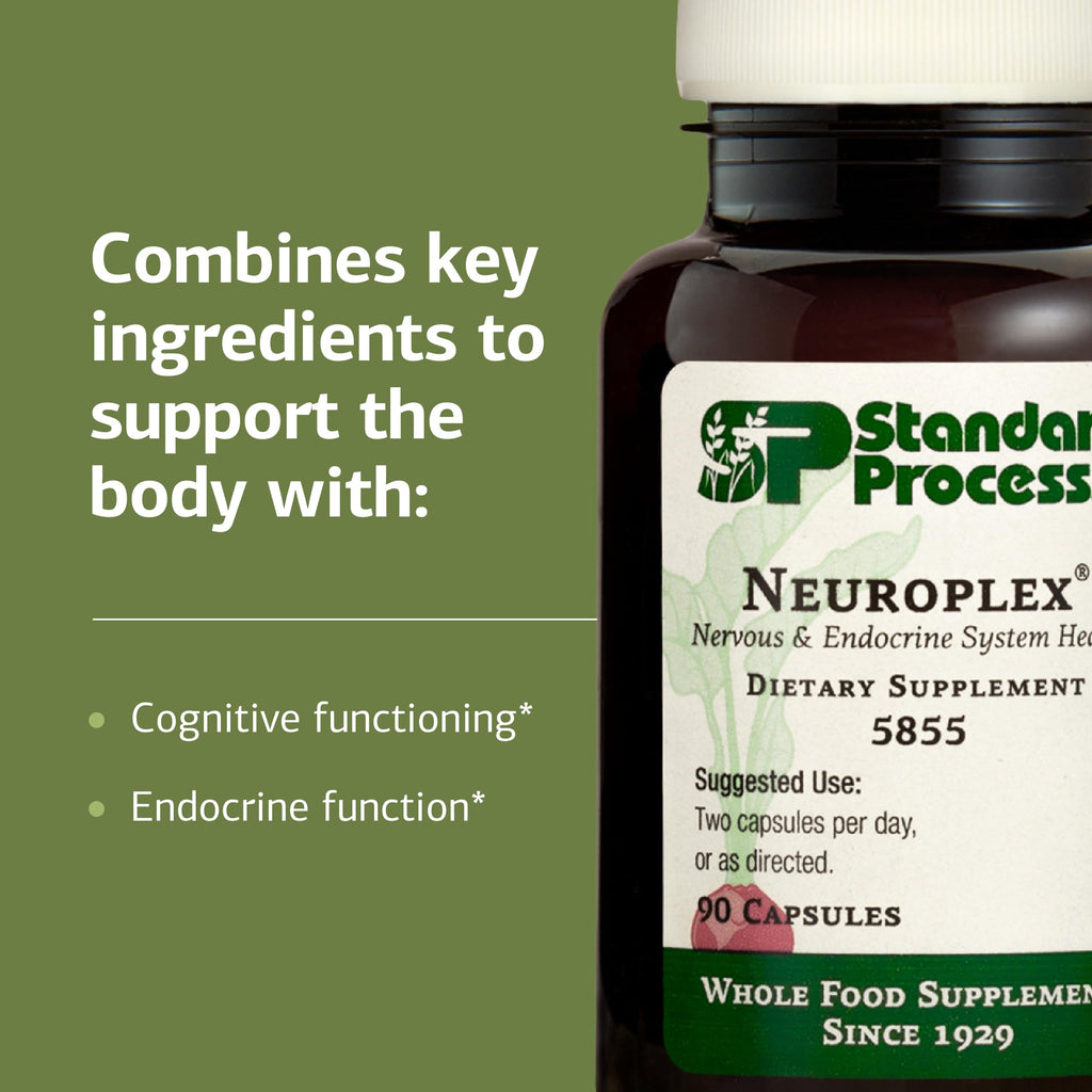 Standard Process Neuroplex – Brain & Nervous System Support (360 Tablets)