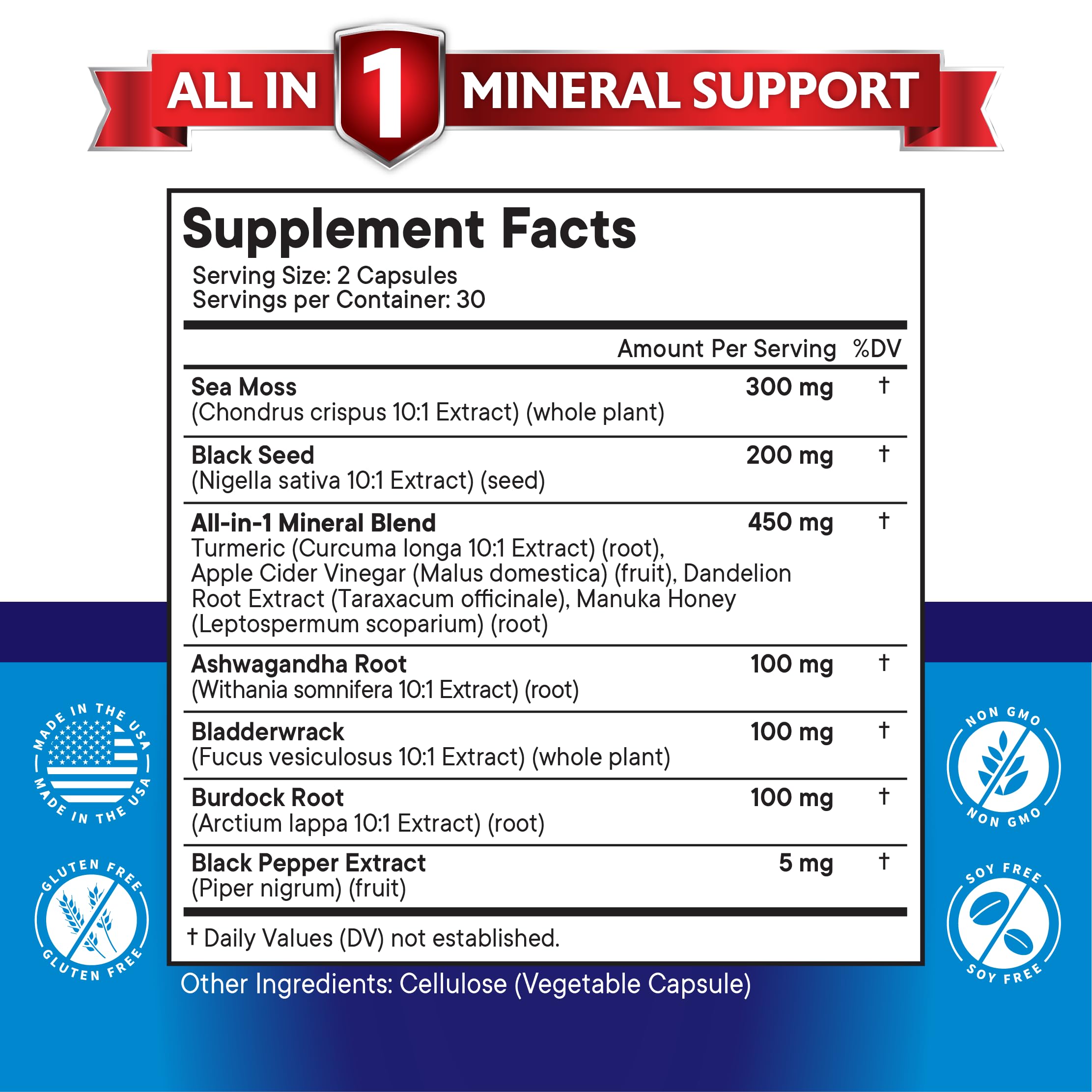 NEW AGE Silica Sea Moss & Black Seed Oil – All-in-1 Mineral Formula with Ashwagandha, Turmeric, Bladderwrack, Burdock | Gluten Free