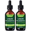 NEW AGE Chlorophyll Liquid Drops – Energy Booster, Digestion & Immune Support (2 Pack)