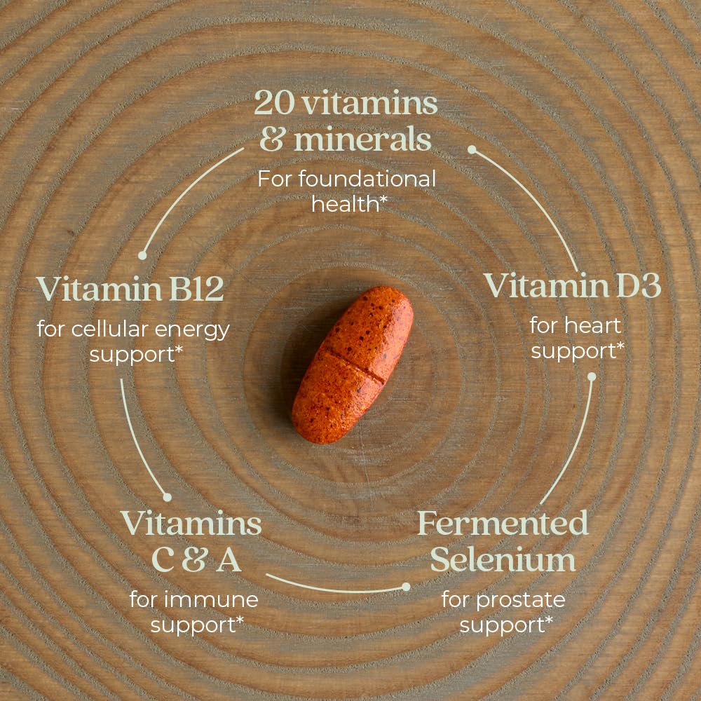 New Chapter Men's Multivitamin 55+ — One Daily, Fermented, Non-GMO, Immune & Brain Health, 96 Tablets