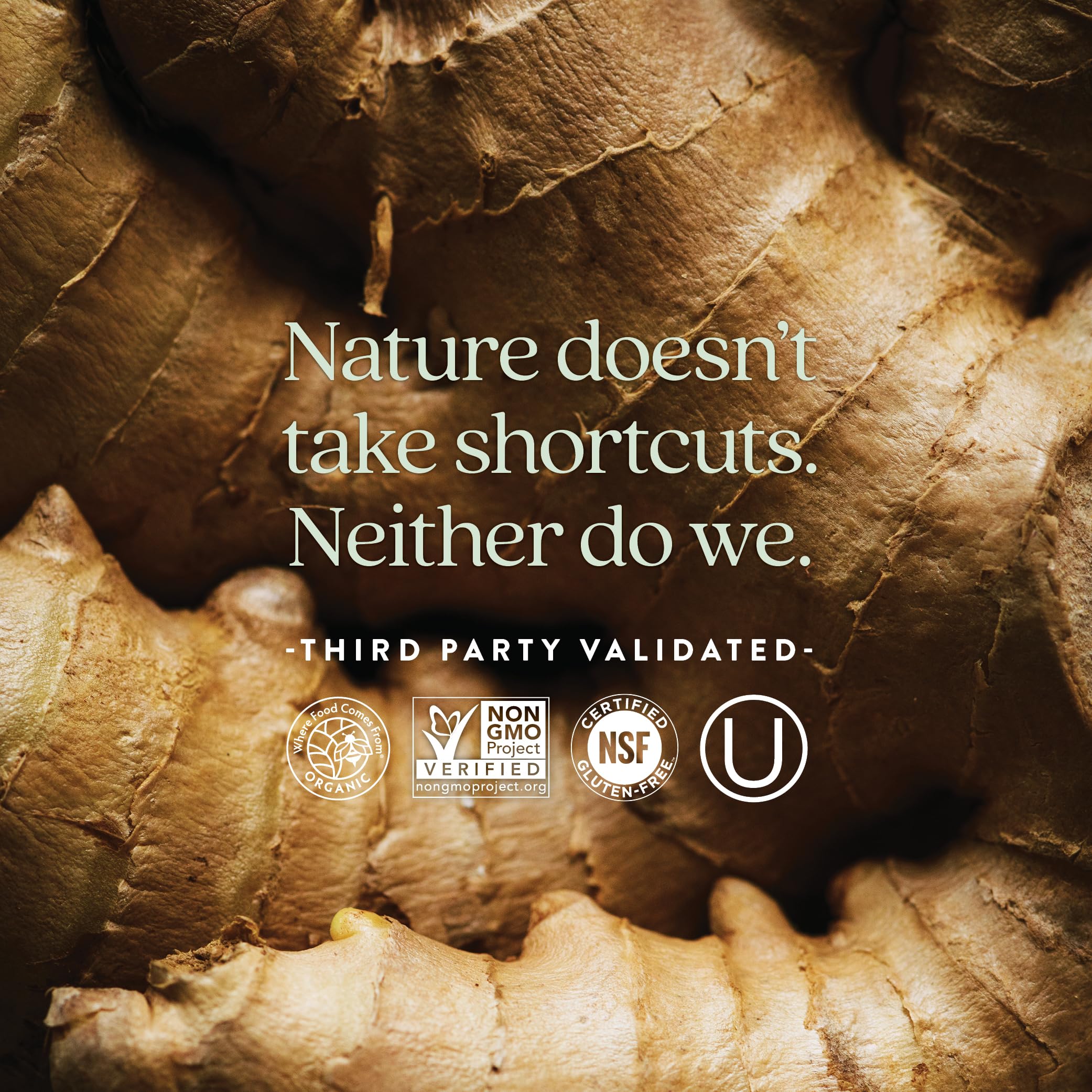New Chapter Men's Multivitamin - One Daily, Fermented & Immune Support