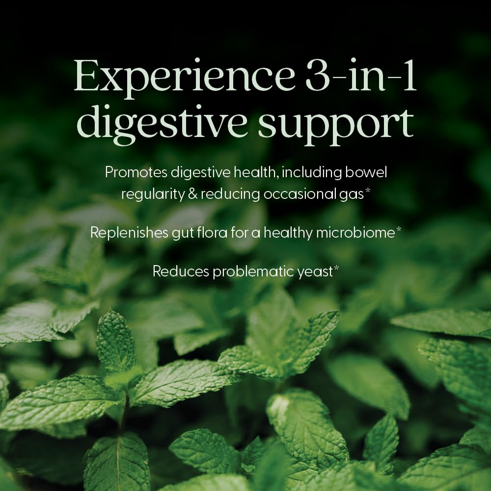 New Chapter Probiotic All-Flora 30 Ct – Advanced Digestion & Gut Health, Vegan, Non-GMO