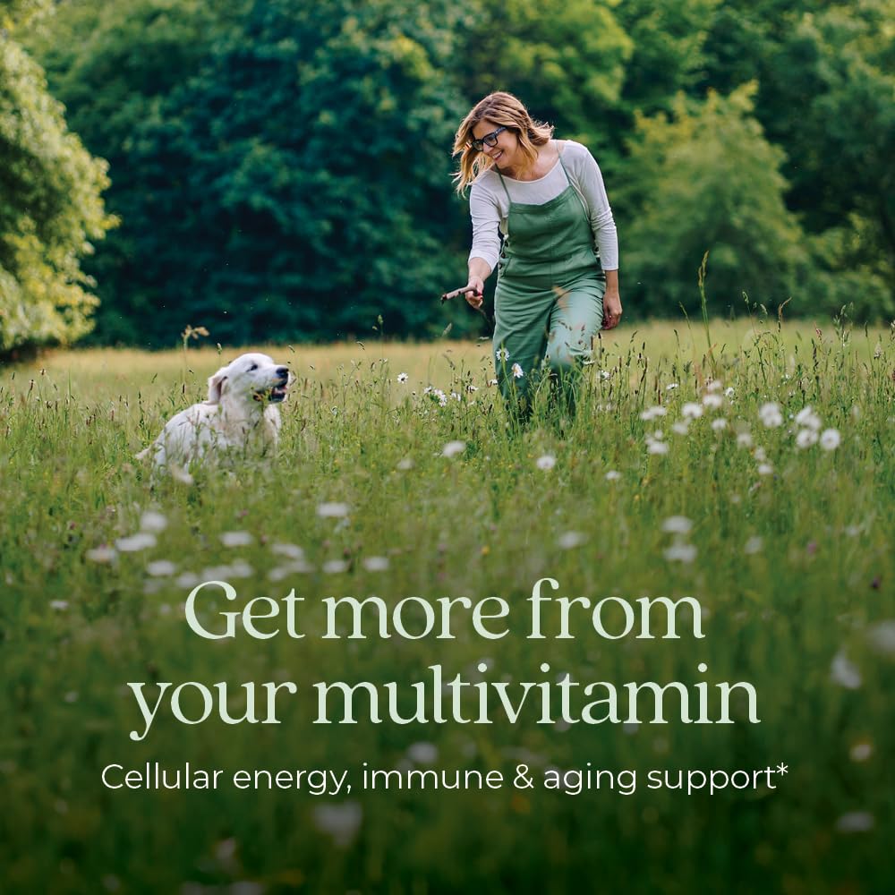 New Chapter Women’s 40+ Multivitamin – One Daily, Fermented Nutrients, Gentle on Empty Stomach