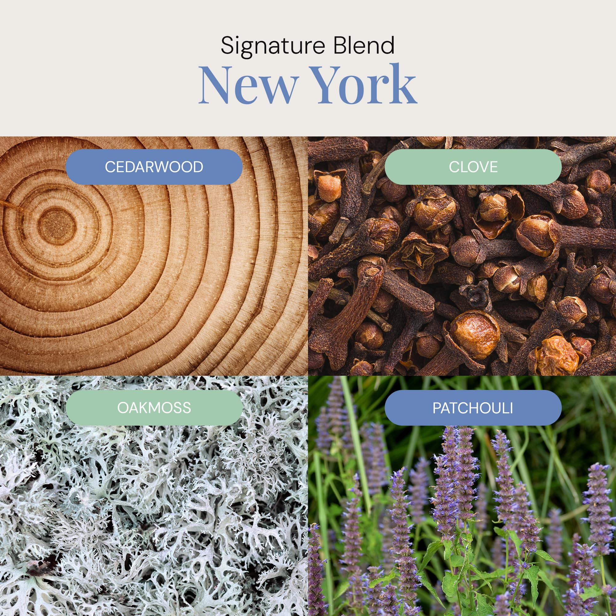 New York Aroma Oil | Essential Oil Blend for Diffusers & Scent Machines | 300 mL