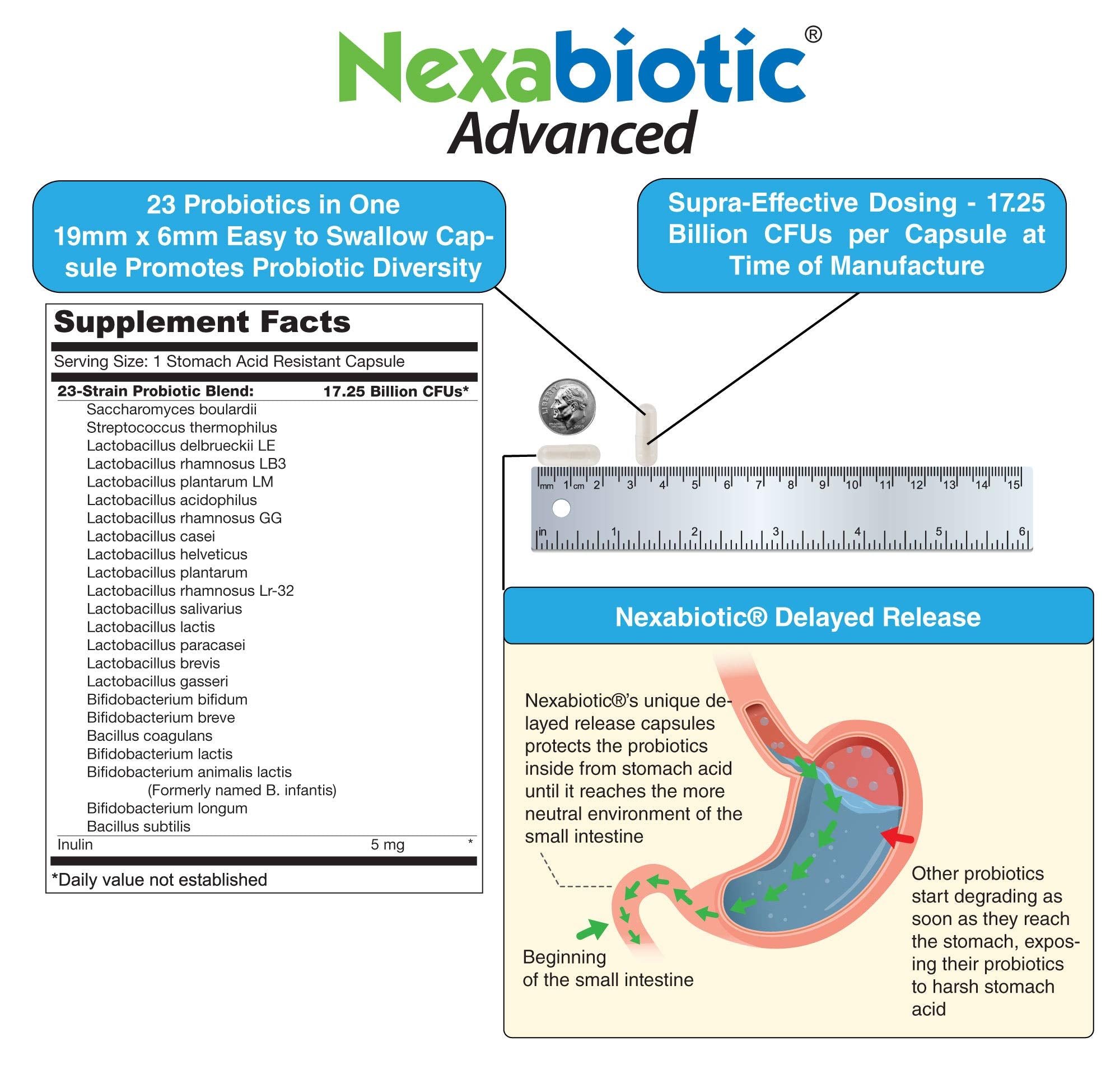 DrFormulas Nexabiotic Multi Probiotic – 60 Count, 23 Strains + S. boulardii