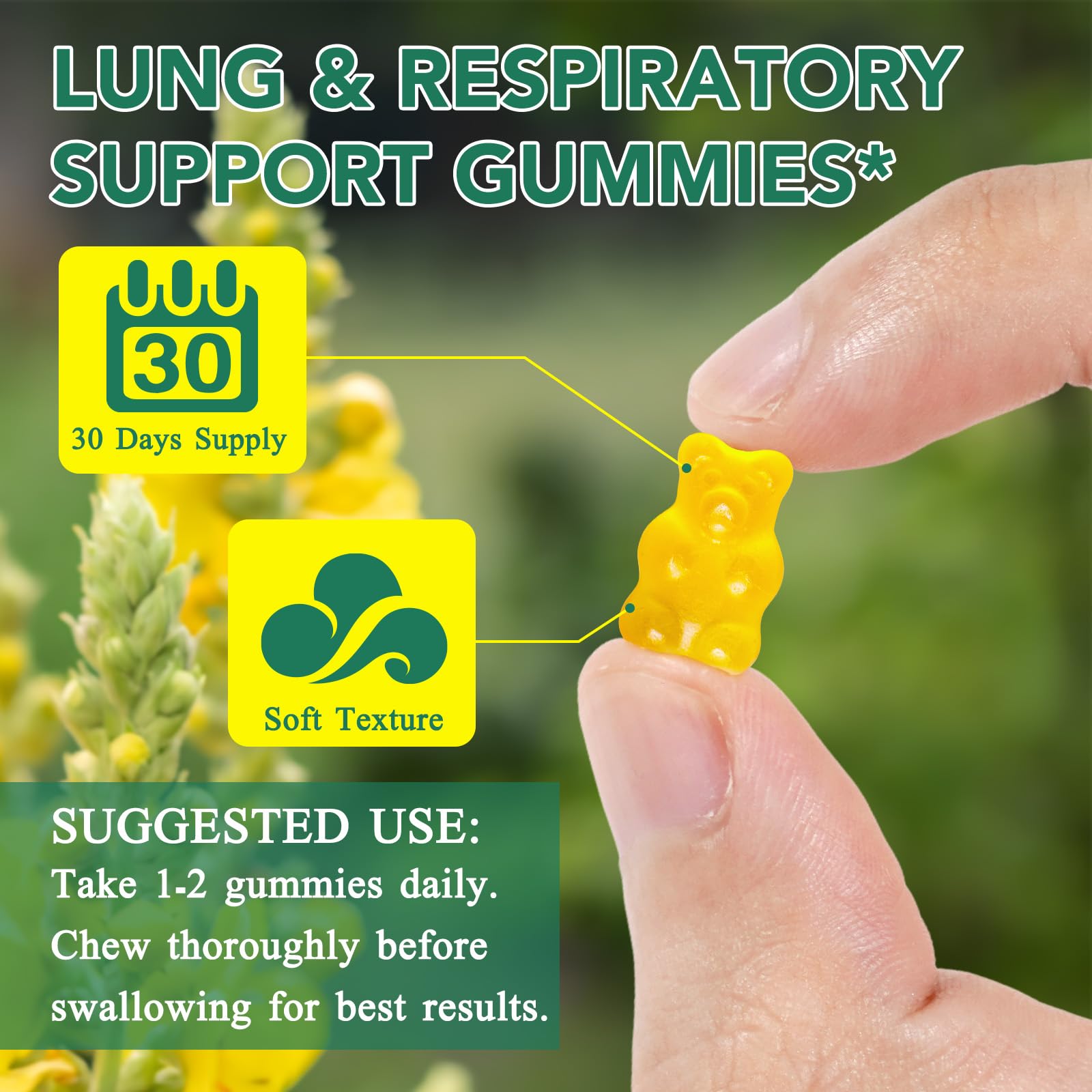 NIFEISHI Mullein Gummies for Lungs – 2000mg Mullein Leaf, Pear Flavor, 60 Gummies