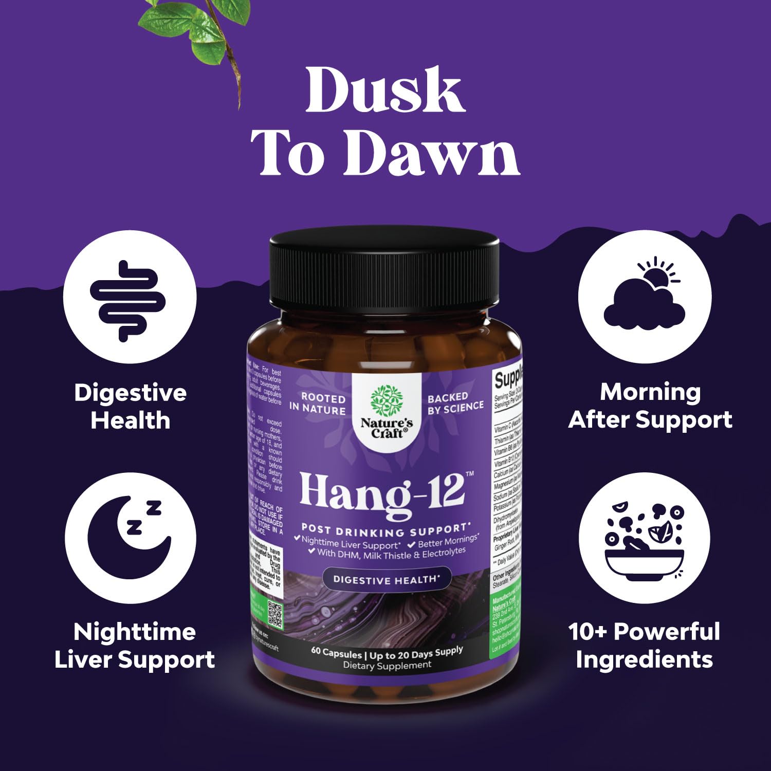 Nighttime Liver Detox & Hydration Pills - DHM, Milk Thistle, Electrolytes (60 Capsules)