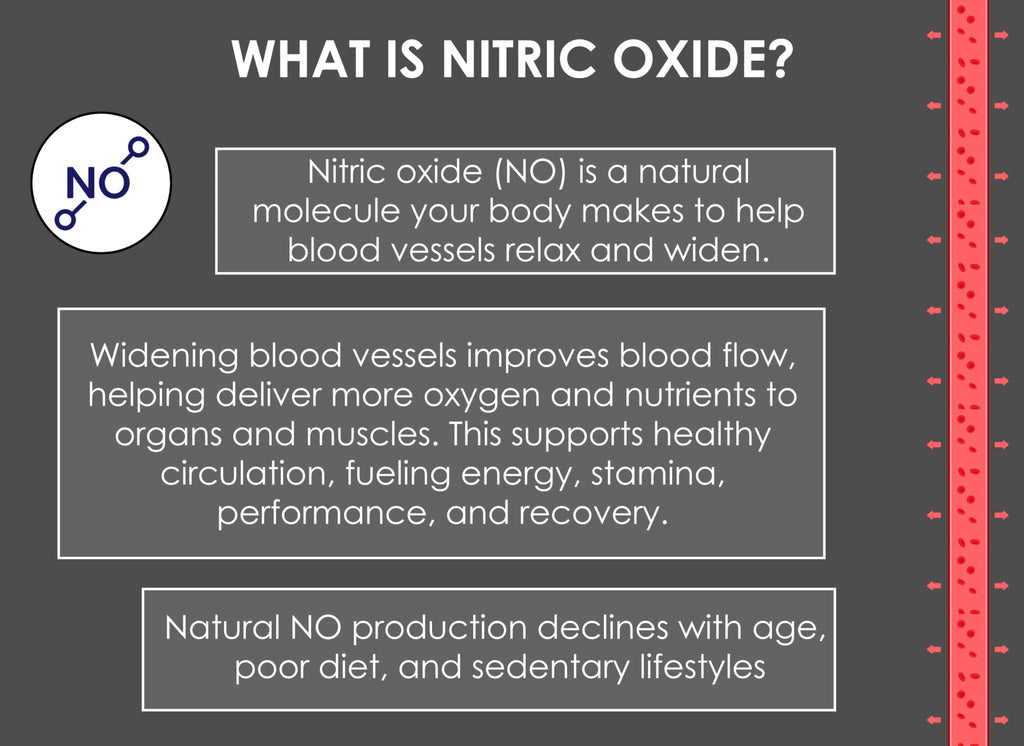 Nitric Oxide Lozenges 120 Count – Supports Blood Pressure, Circulation & Vascular Health