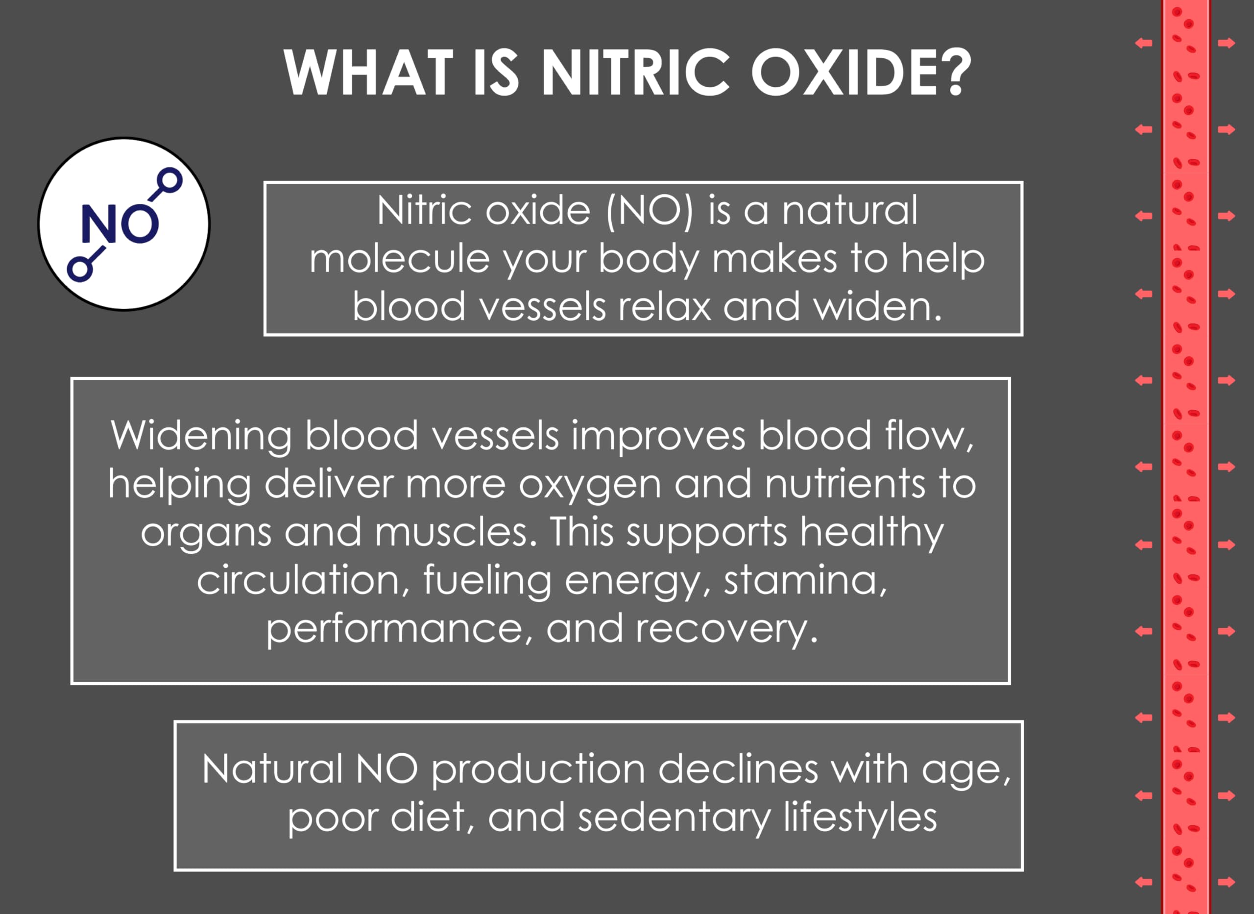 Nitric Oxide Lozenges 120 Count – Supports Blood Pressure, Circulation & Vascular Health