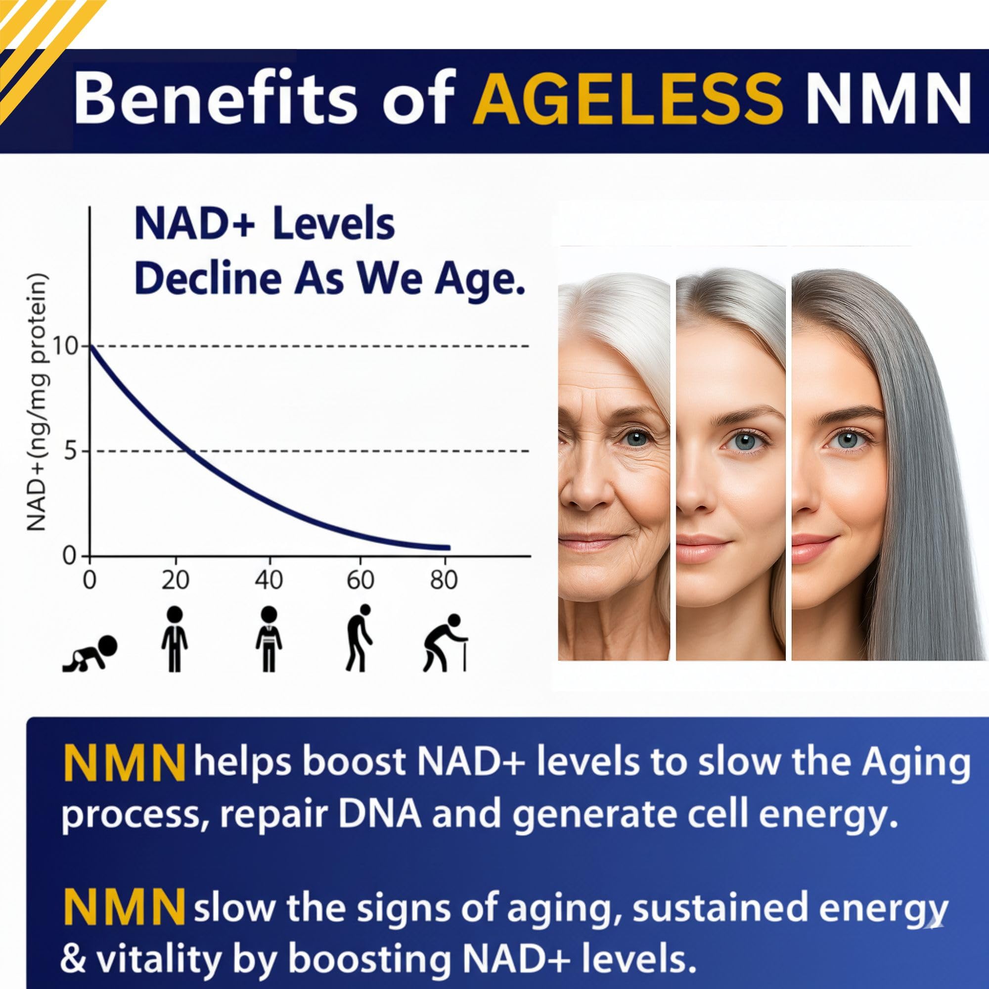 NMN Supplement 500mg Nicotinamide Mononucleotide | Supports NAD+ Levels, Energy, Cognitive Function, Muscle Health & Healthy Body Composition – Capsules (30)