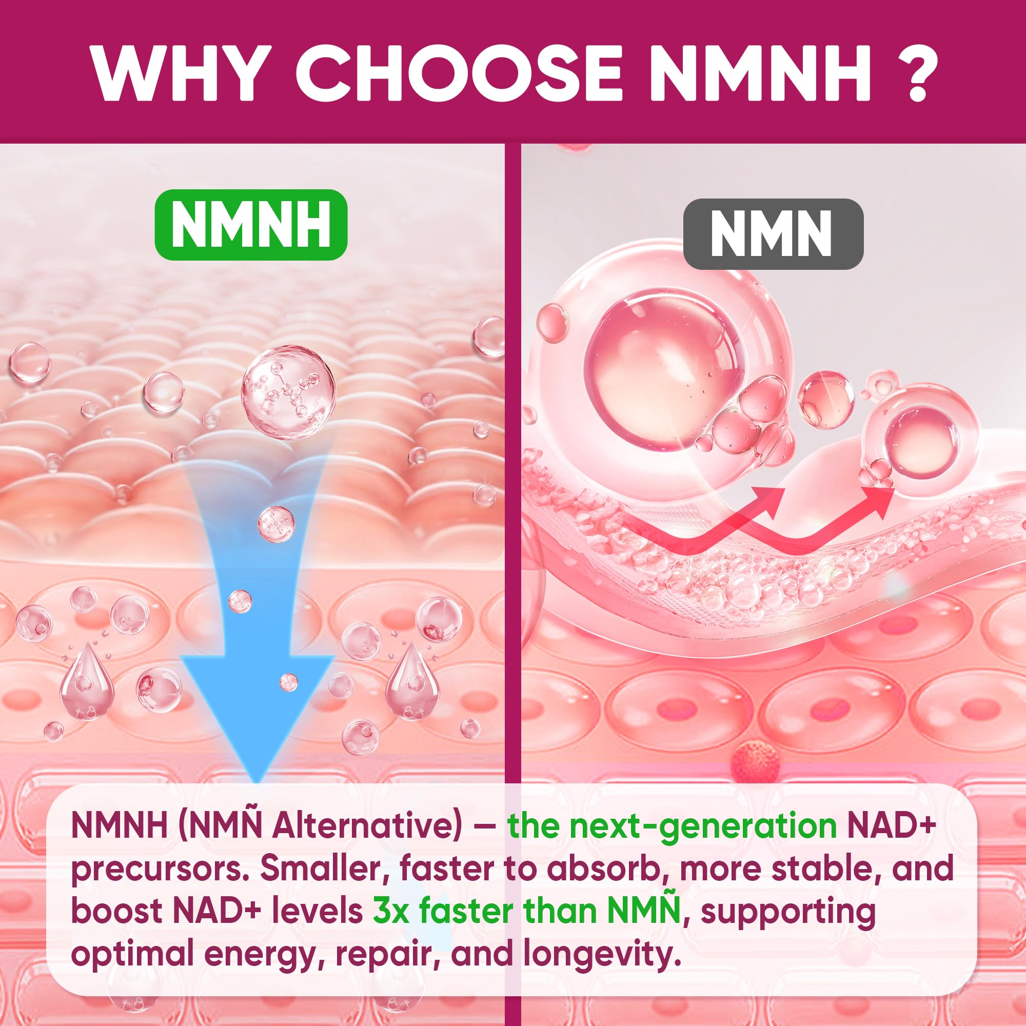 NMNH Gummies 300MG for Longevity – NAD+ Booster with Urolithin A, Polyphenols & Resveratrol | Sugar-Free 60ct