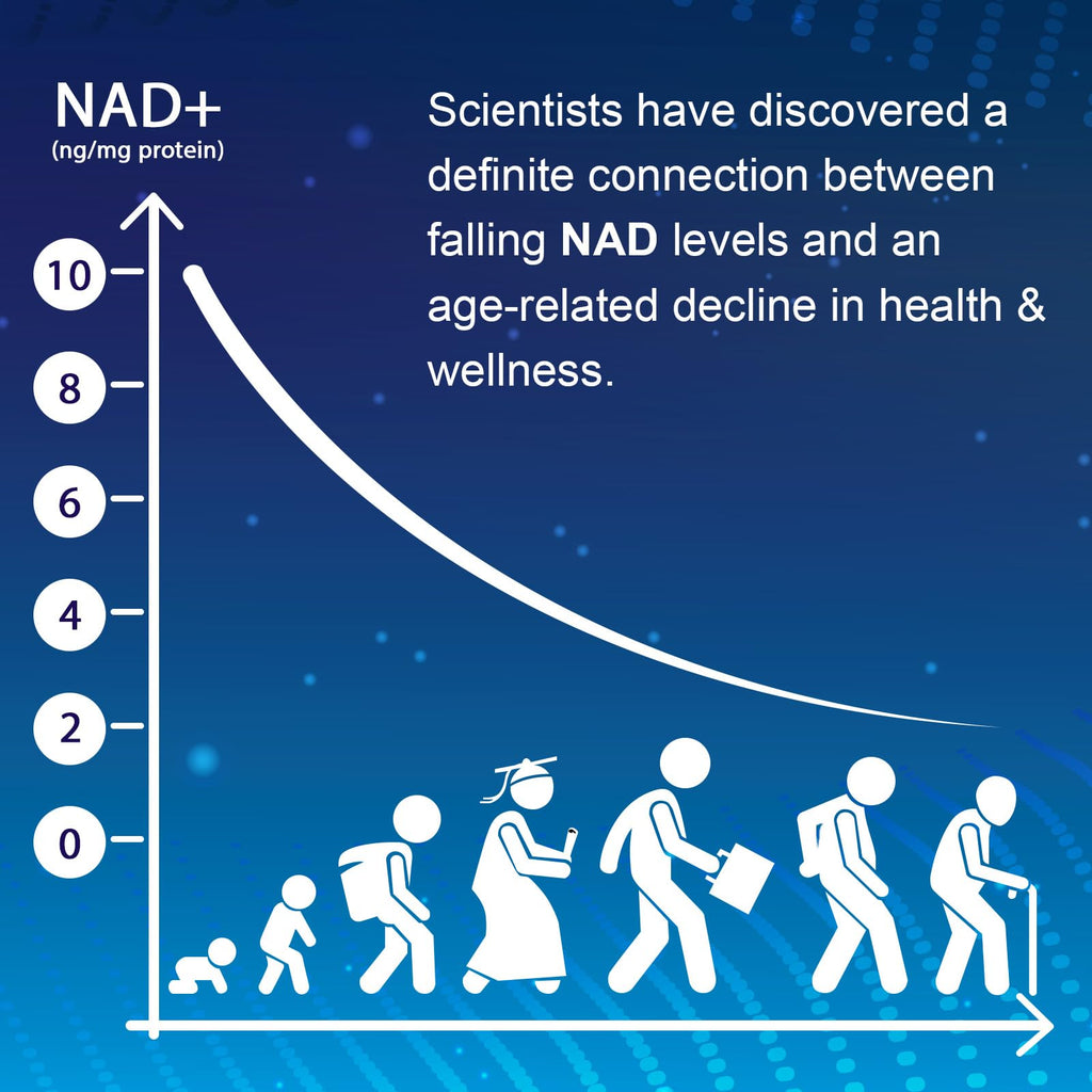 NMNH NMN Supplement – NAD+ Booster, Anti-Aging, 60 Capsules