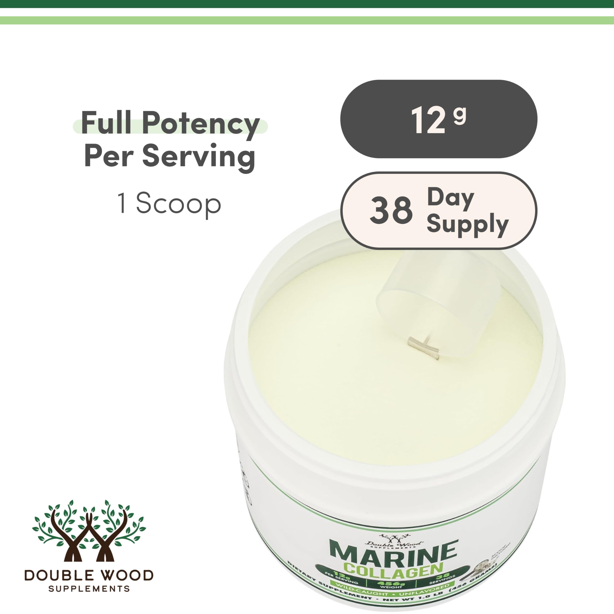 Marine Collagen Powder – Wild-Caught, Unflavored, Micronized (1 lb) | Double Wood