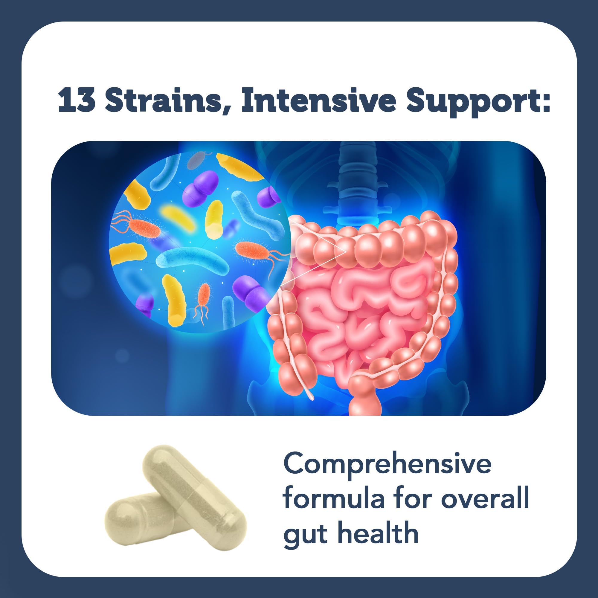 Vitamin Bounty Pro-100 Probiotic – 100B CFU, 13 Strains | Gut & Immune Support
