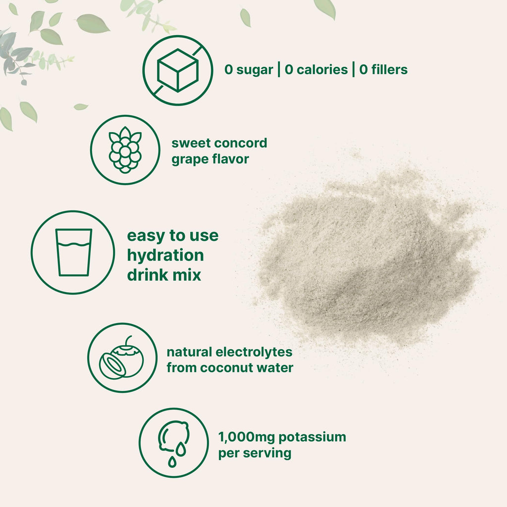 Micro Ingredients Hydration Electrolyte Powder – 2 lb (139 Servings) Concord Grape | High Potassium 1000 mg + Coconut Water | No Sugar, Keto, Non-GMO