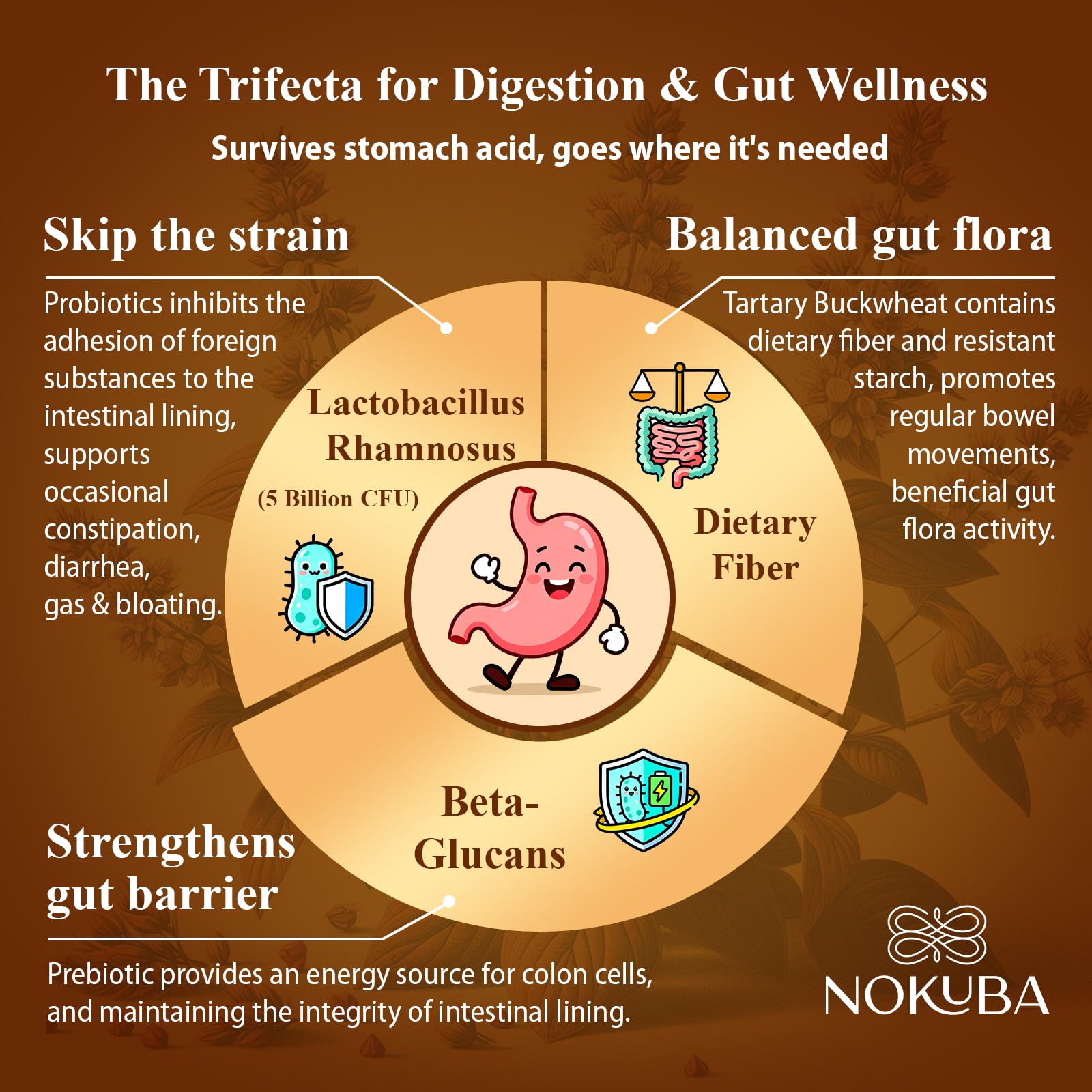 Nokuba Immune Support - Himalayan Tartary Buckwheat, Quercetin, Zinc, Vitamin C & D3 | 120 Vegan Capsules