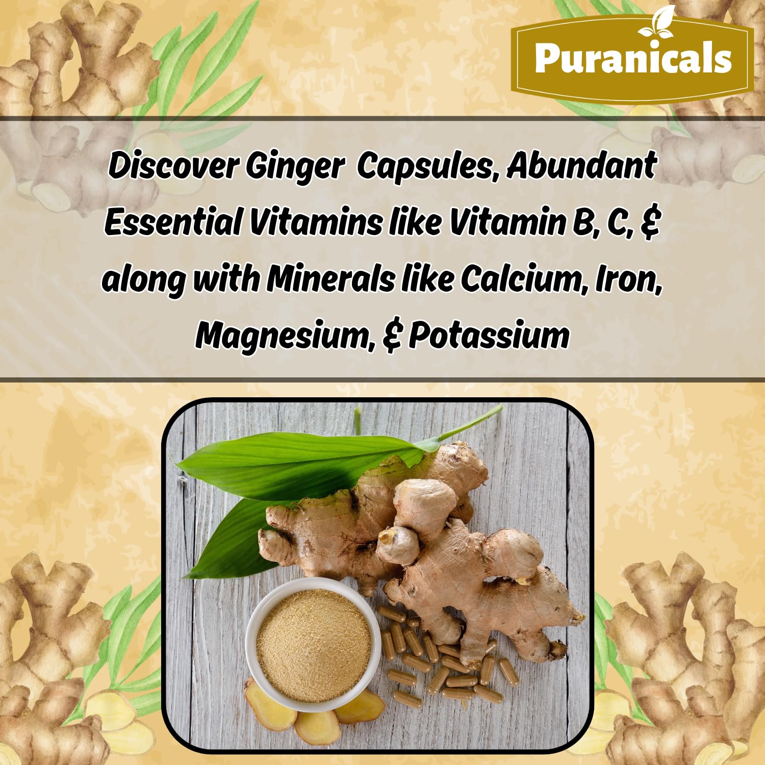 Puranicals Ginger Premium 320 Capsules – Non-GMO, Gluten Free, 700 mg per Serving, 100% Pure Ginger Root Powder