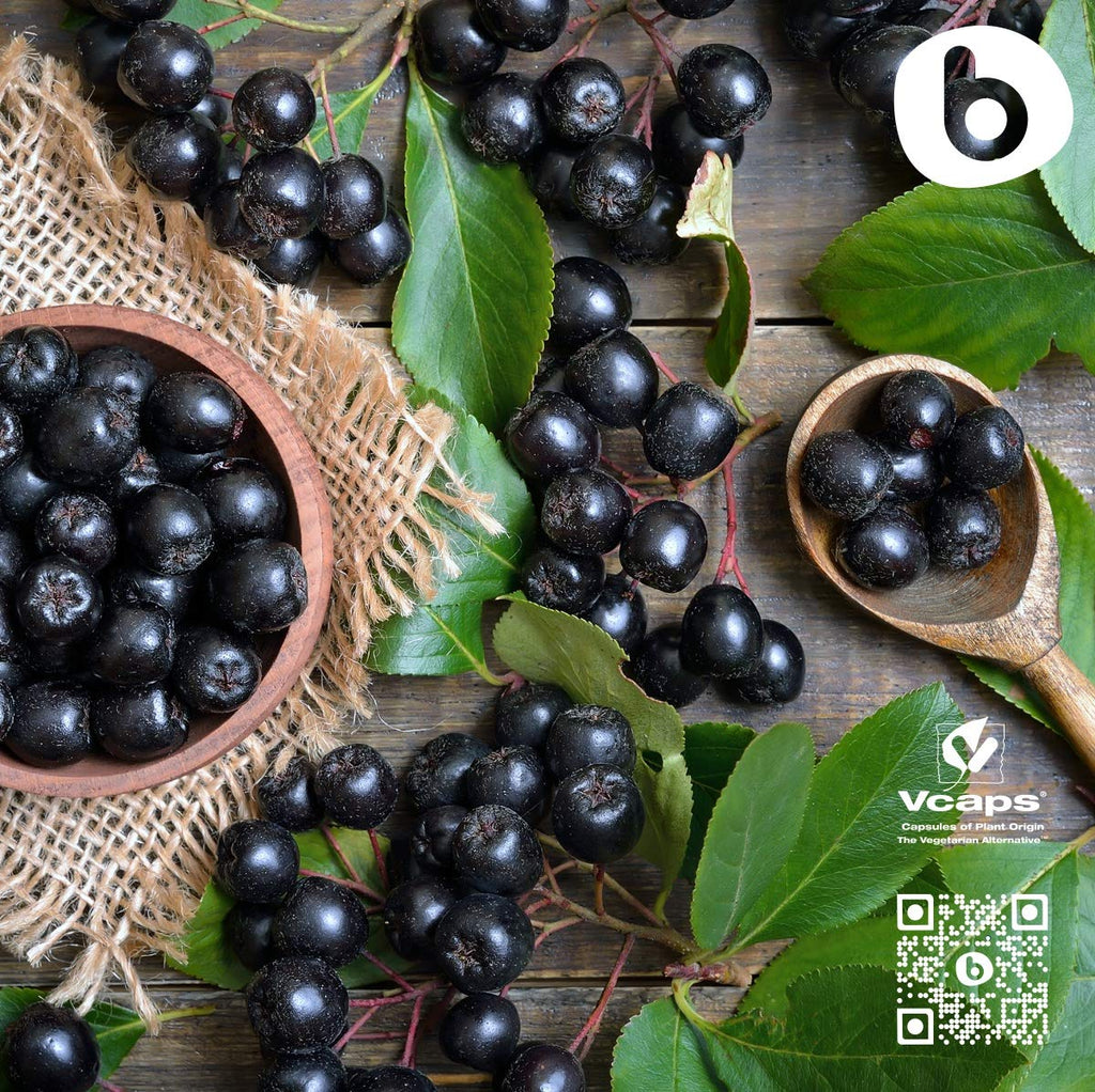 Organic Aronia Berry Capsules – Immune Support, 500mg | 90 Vegan Caps