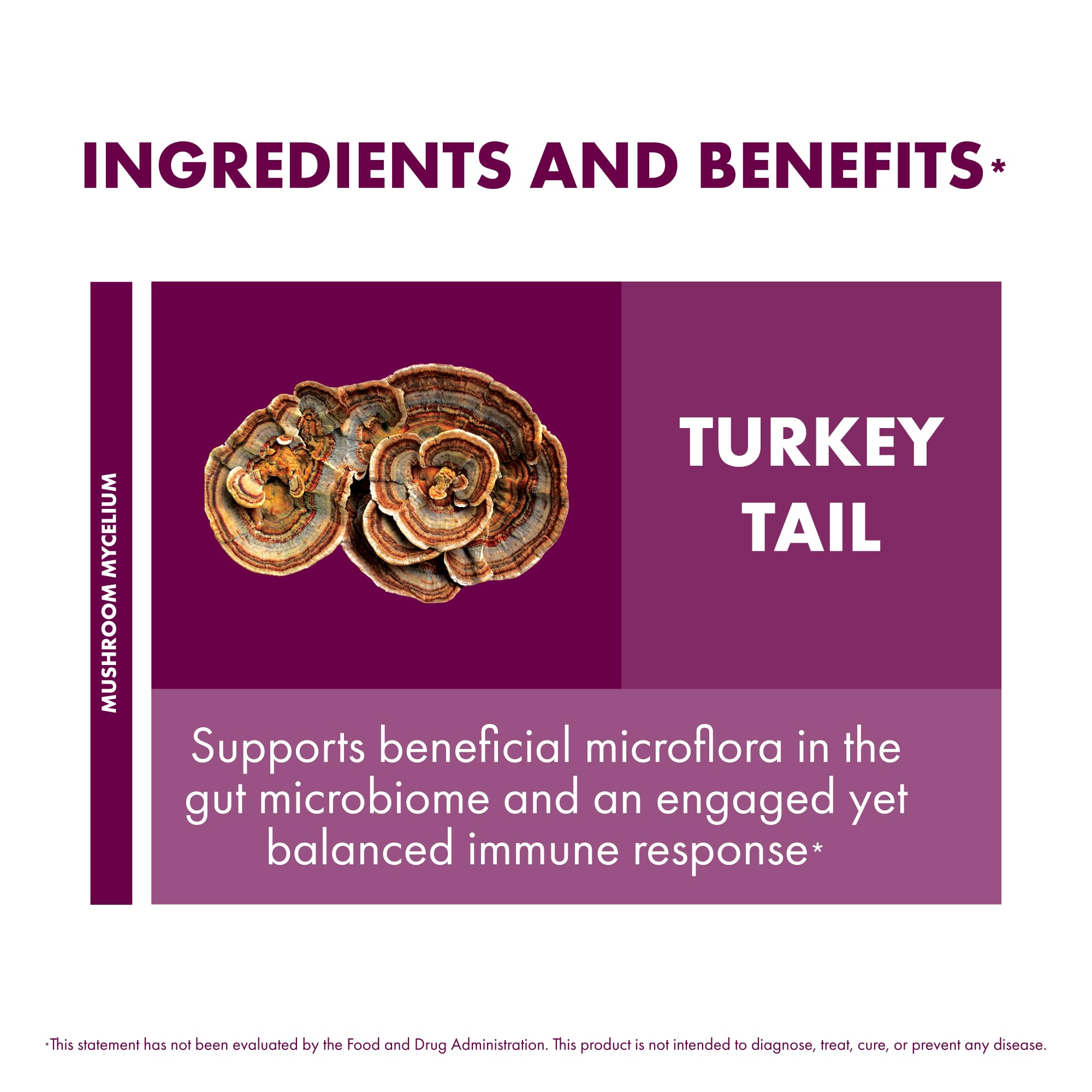 Host Defense Turkey Tail Capsules - 240 ct (Two 120 ct) - Immune & Digestive Health