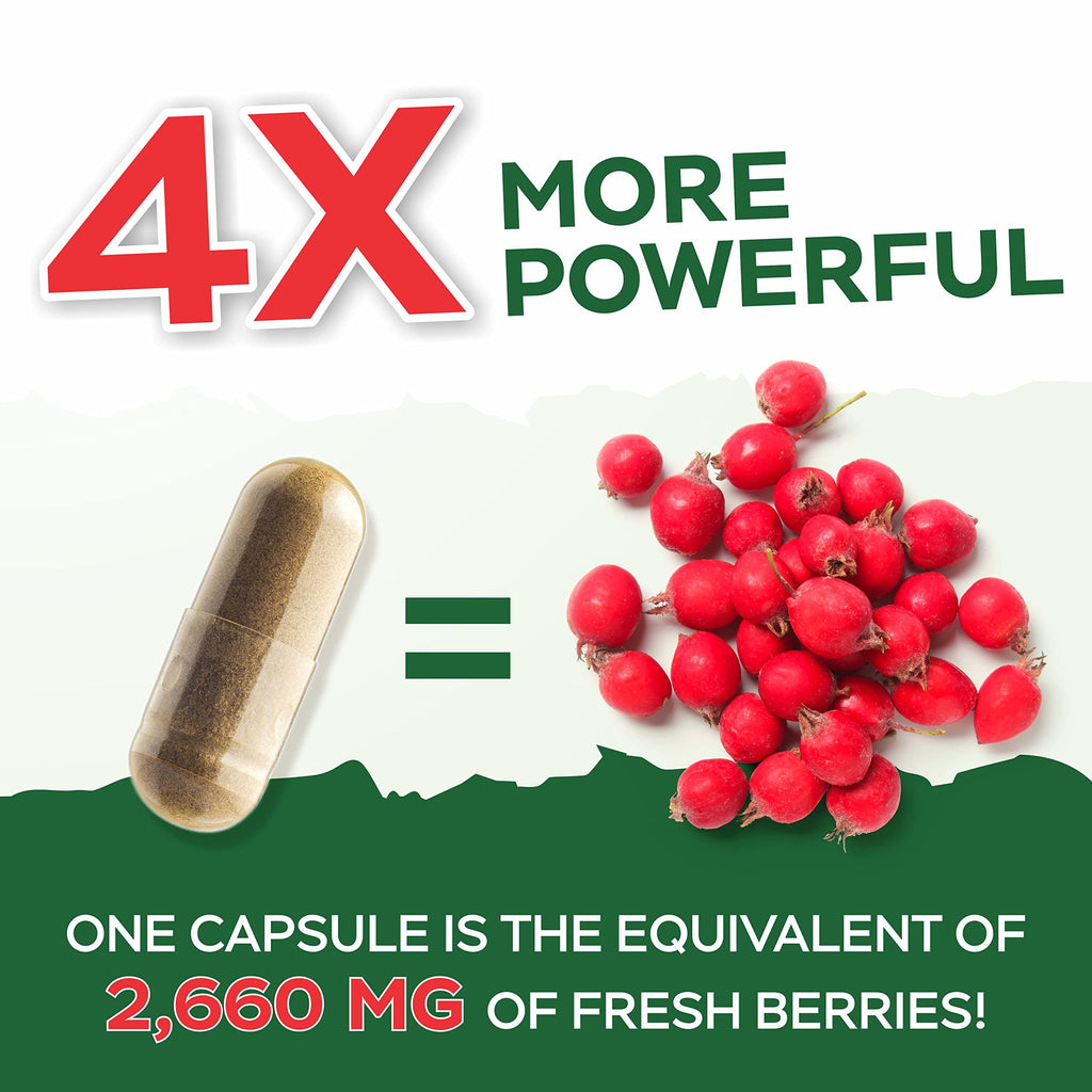 Purely Holistic Hawthorn Berry - 150 Vegan Capsules | 5 Month Supply | High Strength 4:1 Extract | Non-GMO