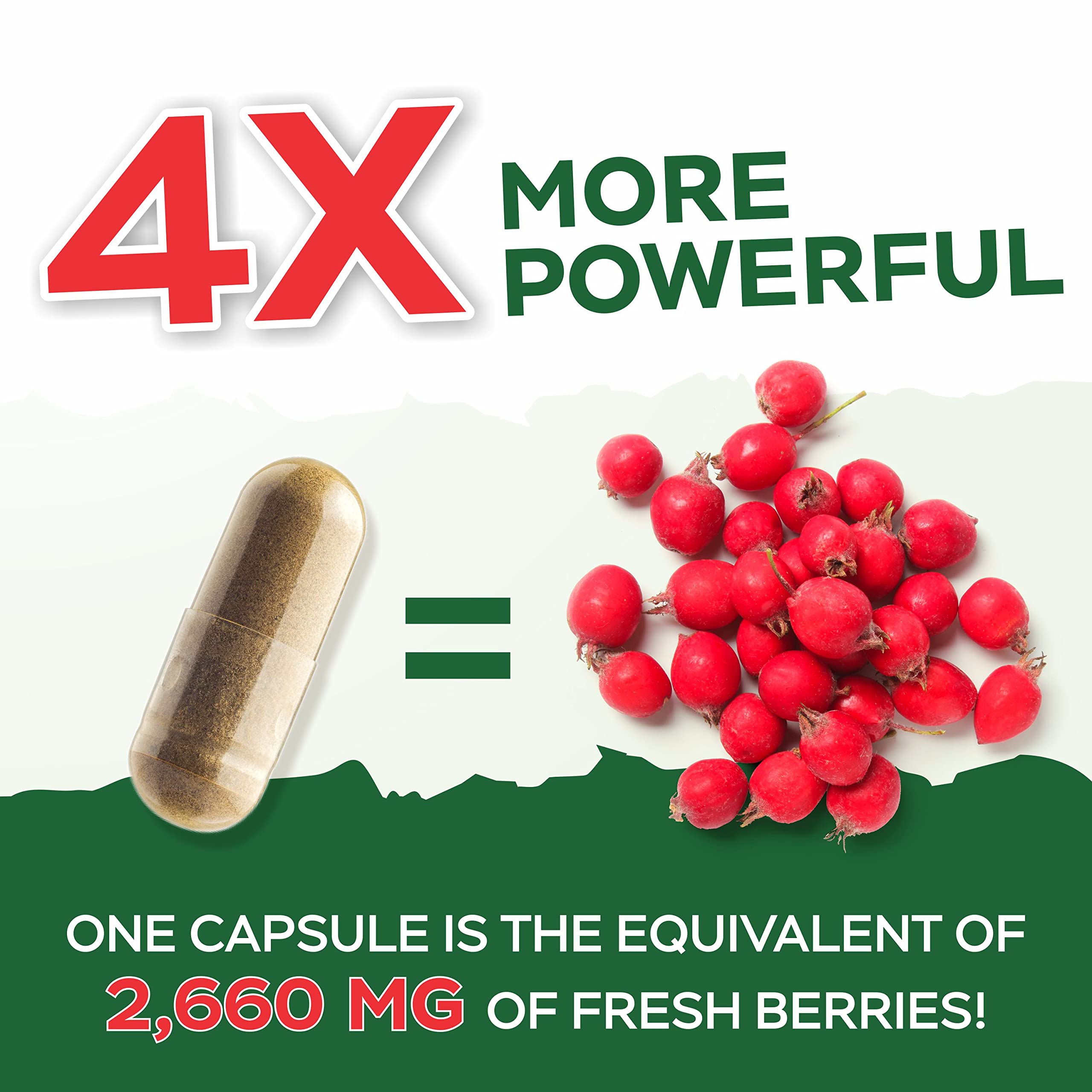Purely Holistic Hawthorn Berry - 150 Vegan Capsules | 5 Month Supply | High Strength 4:1 Extract | Non-GMO