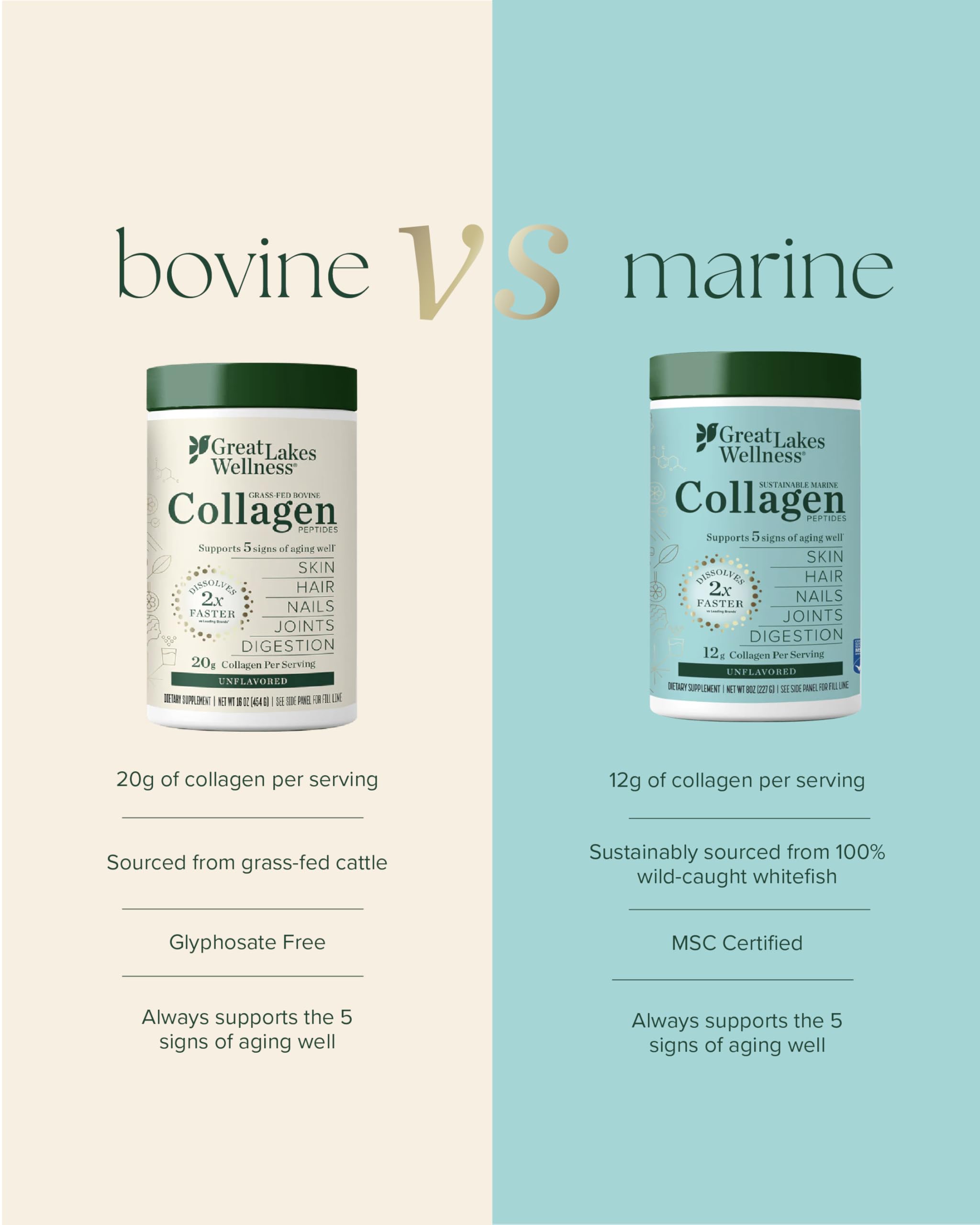 Great Lakes Wellness Marine Collagen Peptides Powder – Unflavored, 16 oz (Wild-Caught, MSC Certified)