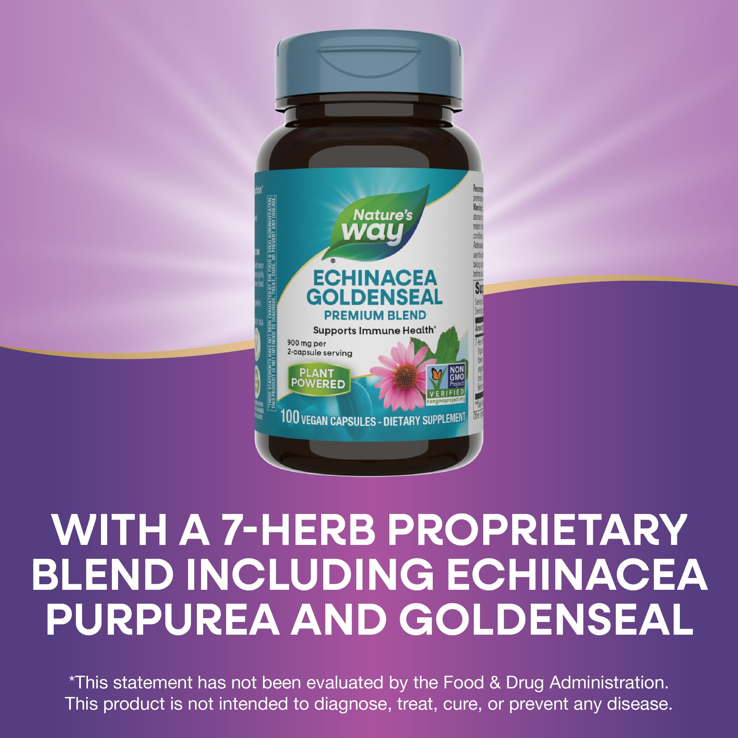 Nature's Way Echinacea Goldenseal, Premium Blend, Supports Immune Health*, 900 mg per 2-Capsule Serving, Non-GMO Project Verified, Vegan, 100 Capsules (Packaging May Vary)