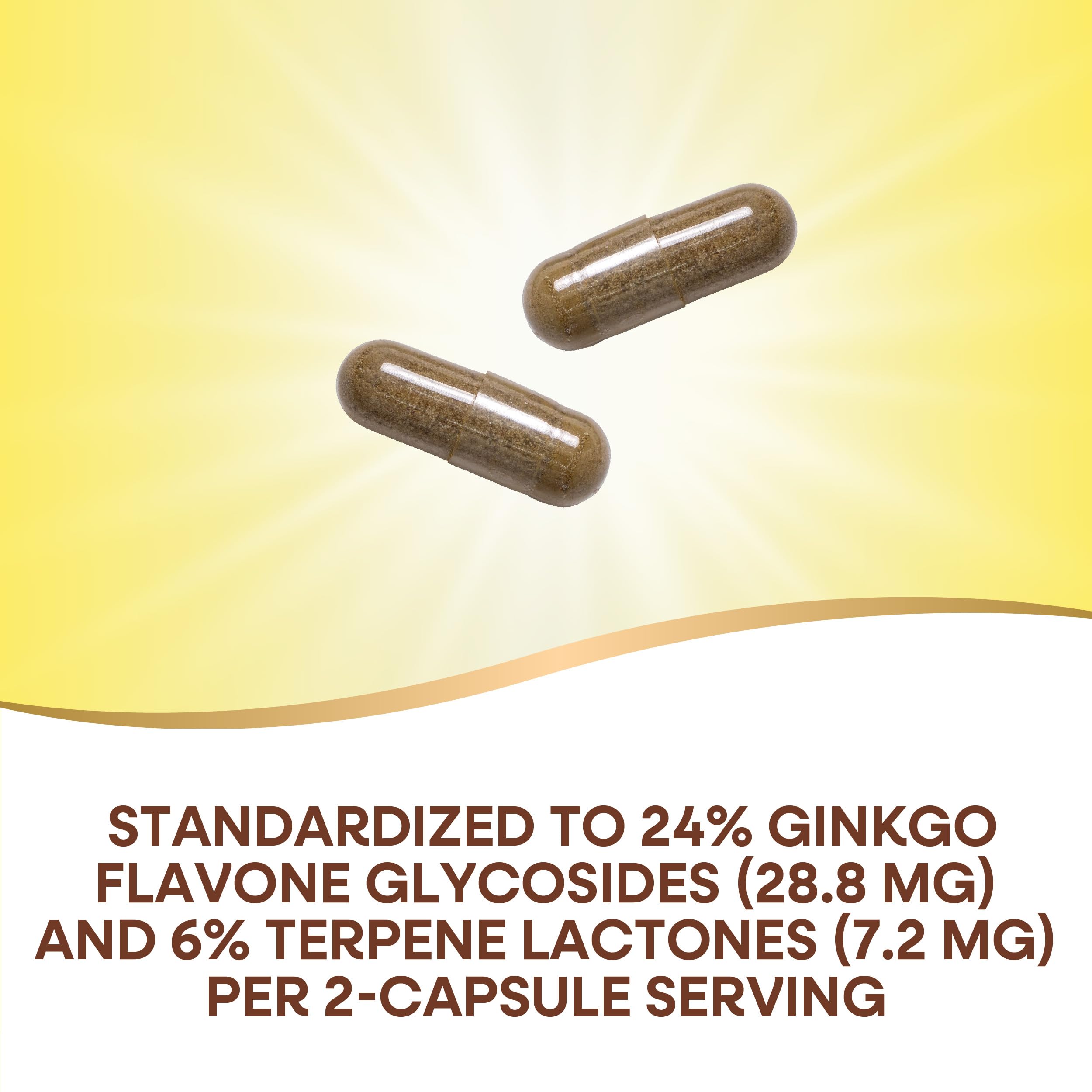 Nature's Way Premium Ginkgo Memory & Concentration – 120 Capsules