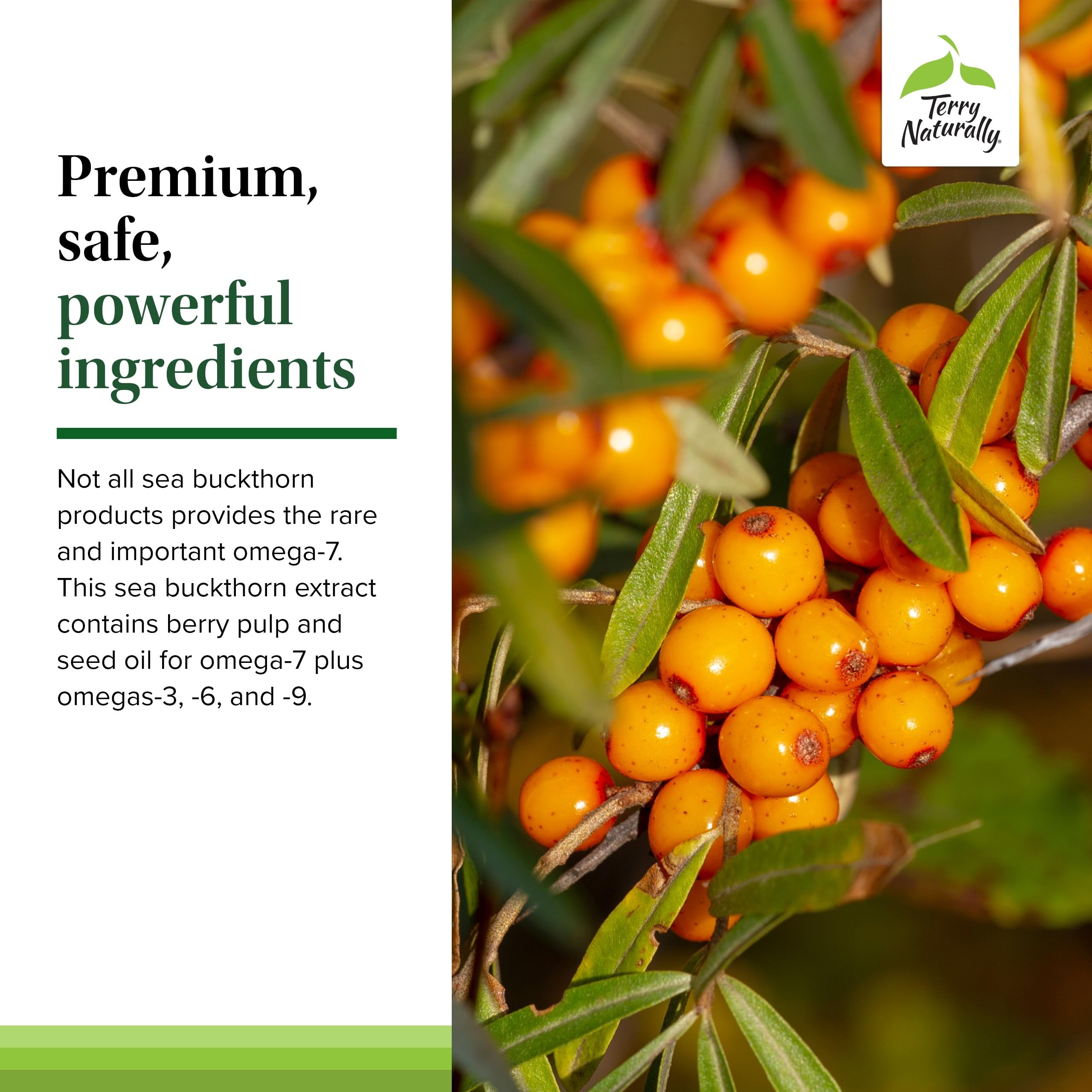Terry Naturally Omega-7 Dry Eye Relief – Buckthorn Seed Oil Eye Health Supplement (60 Softgels, 2-Pack)
