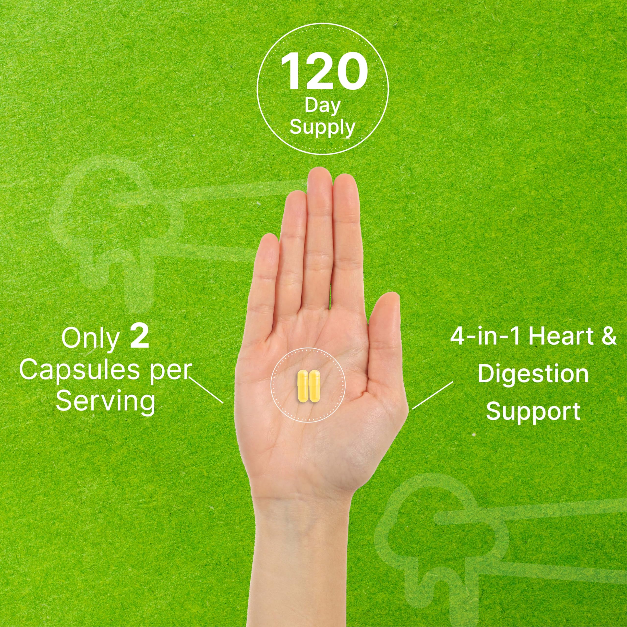 Nattokinase 4,000 FU – 240 Veggie Capsules | Heart Health & Digestion | Vegan