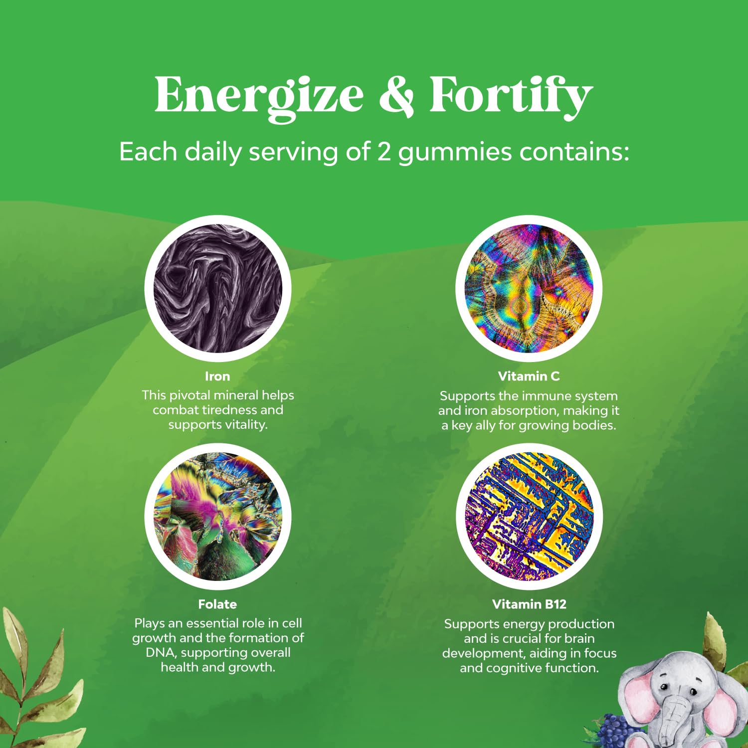 Kids Iron Gummies - Gentle Iron Supplement for Immunity & Energy (60 Count) | Vegan, Gluten Free