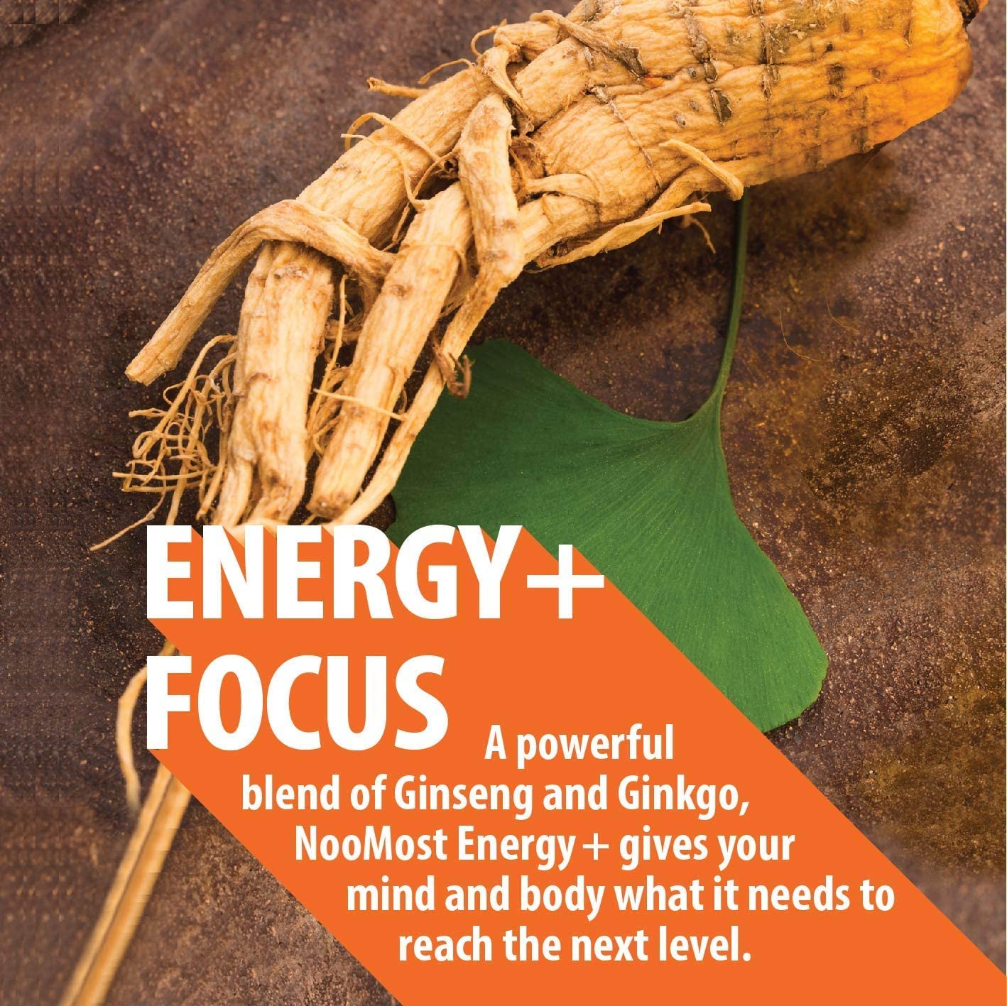 NooMost Korean Red Panax Ginseng + Ginkgo Biloba – 120 Vegan Capsules