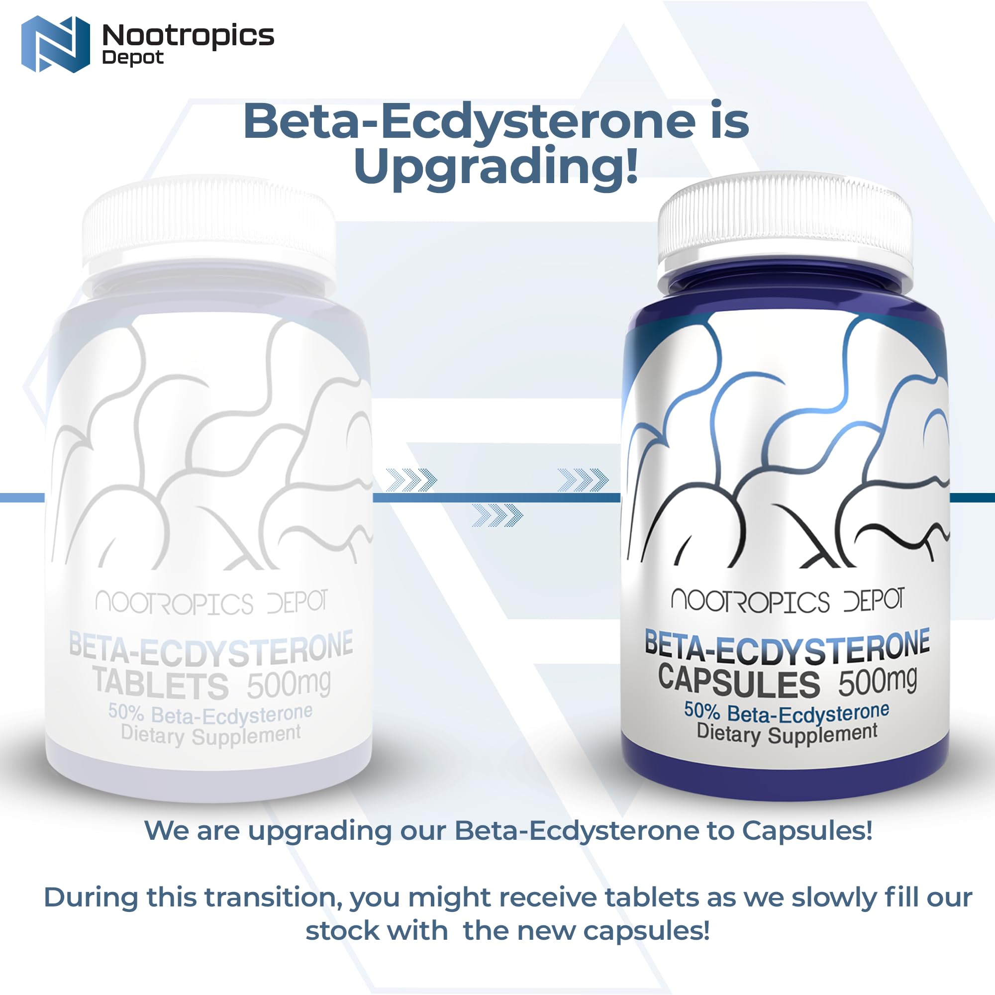 Nootropics Depot Beta Ecdysterone 50% Tablets (500mg) – Cyanotis Arachnoidea Extract, 30 Count