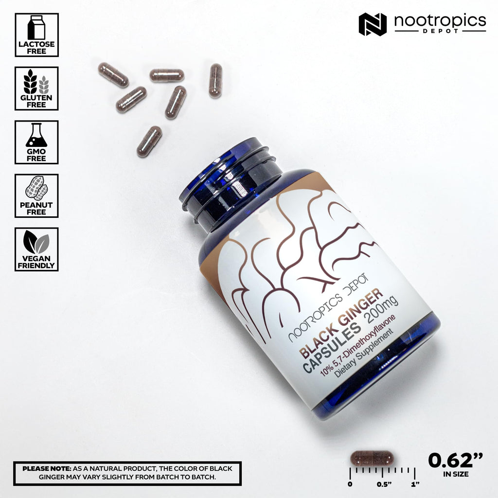 Black Ginger Extract Capsules – 10% 5,7-Dimethoxyflavone | Nootropics Depot | 60 Count
